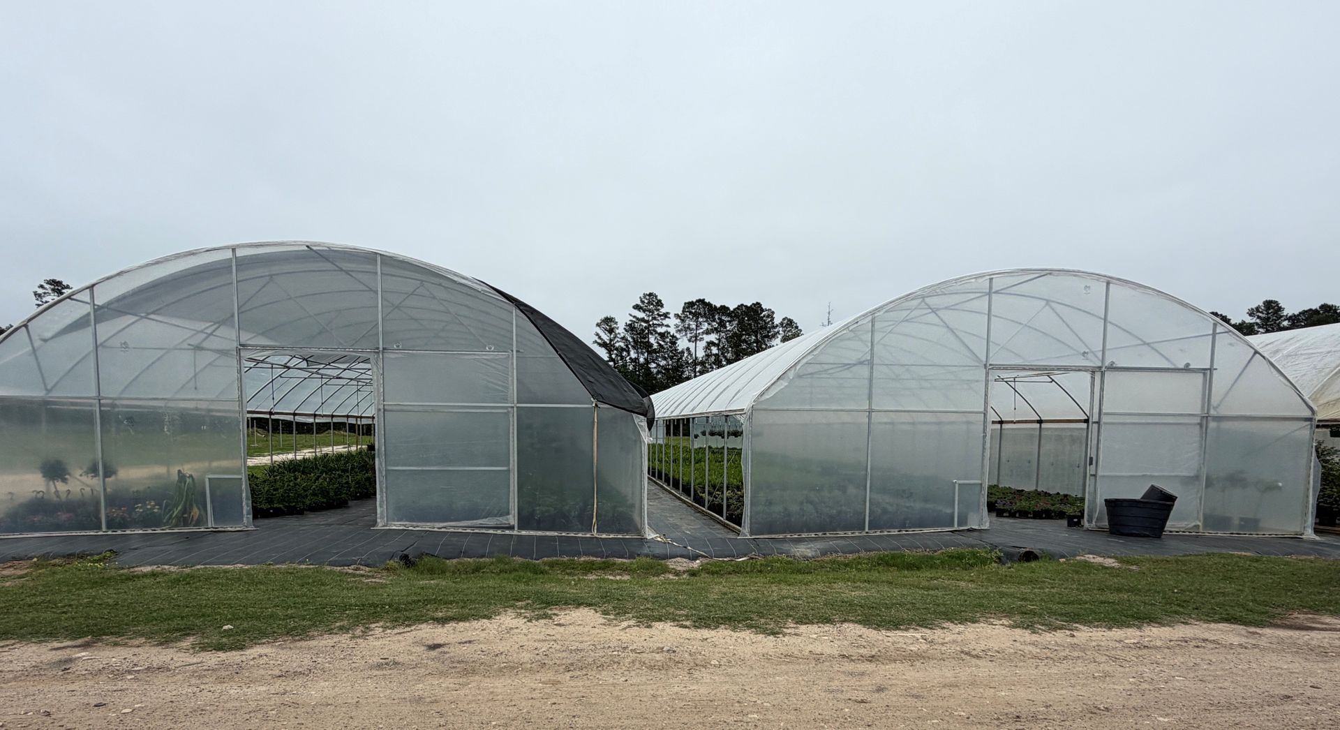 Two white greenhouse tunnels in a grassy field, connected by a narrow central walkway