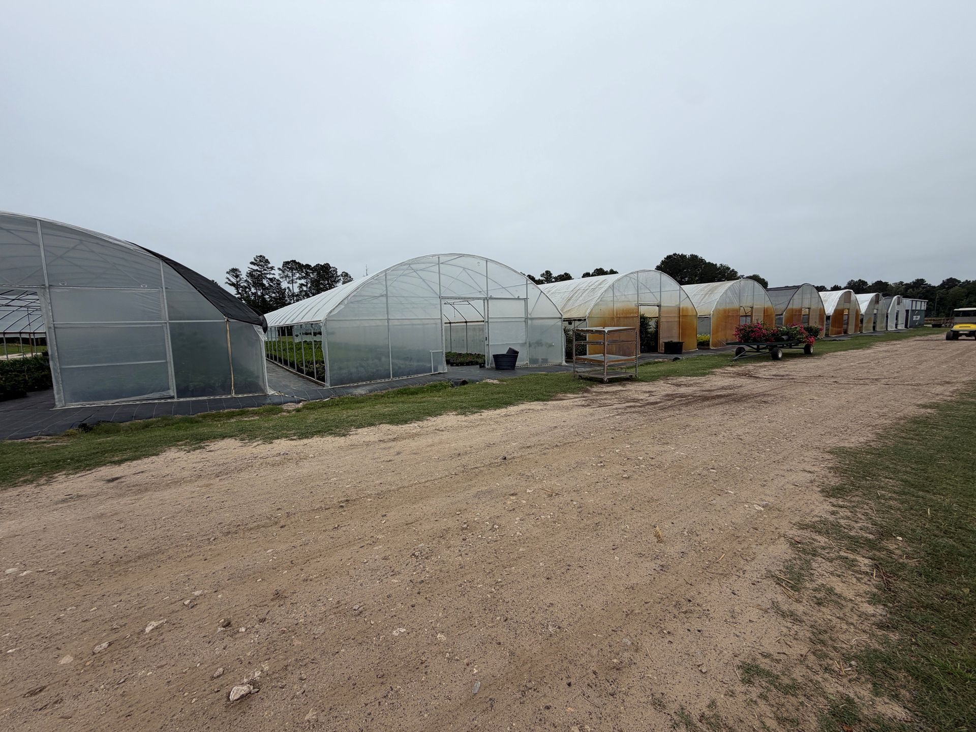 Greenhouse rows along a gravel road under an overcast sky