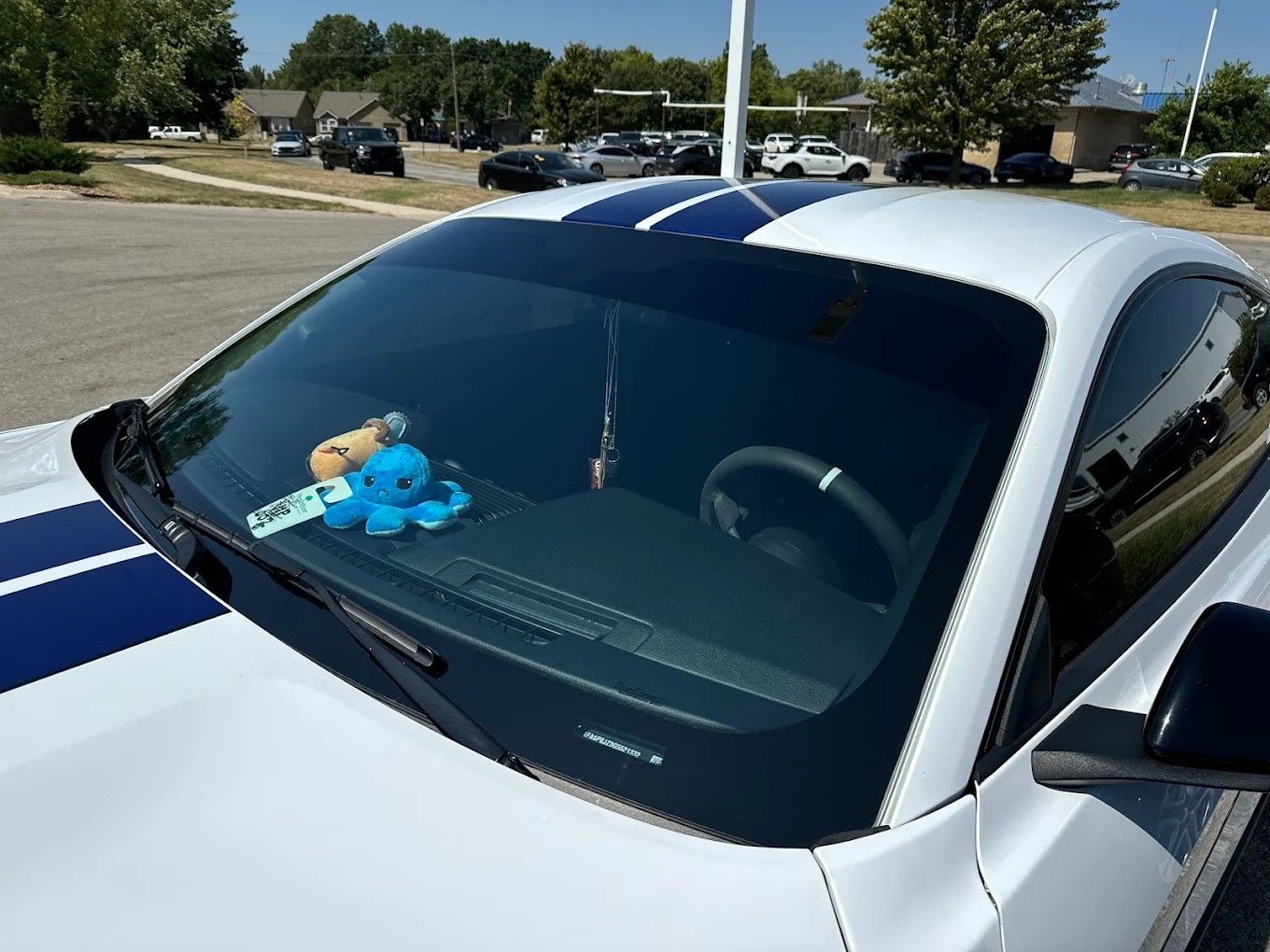 White sports car with blue racing stripes and a blue stuffed toy on the dashboard, parked outdoors