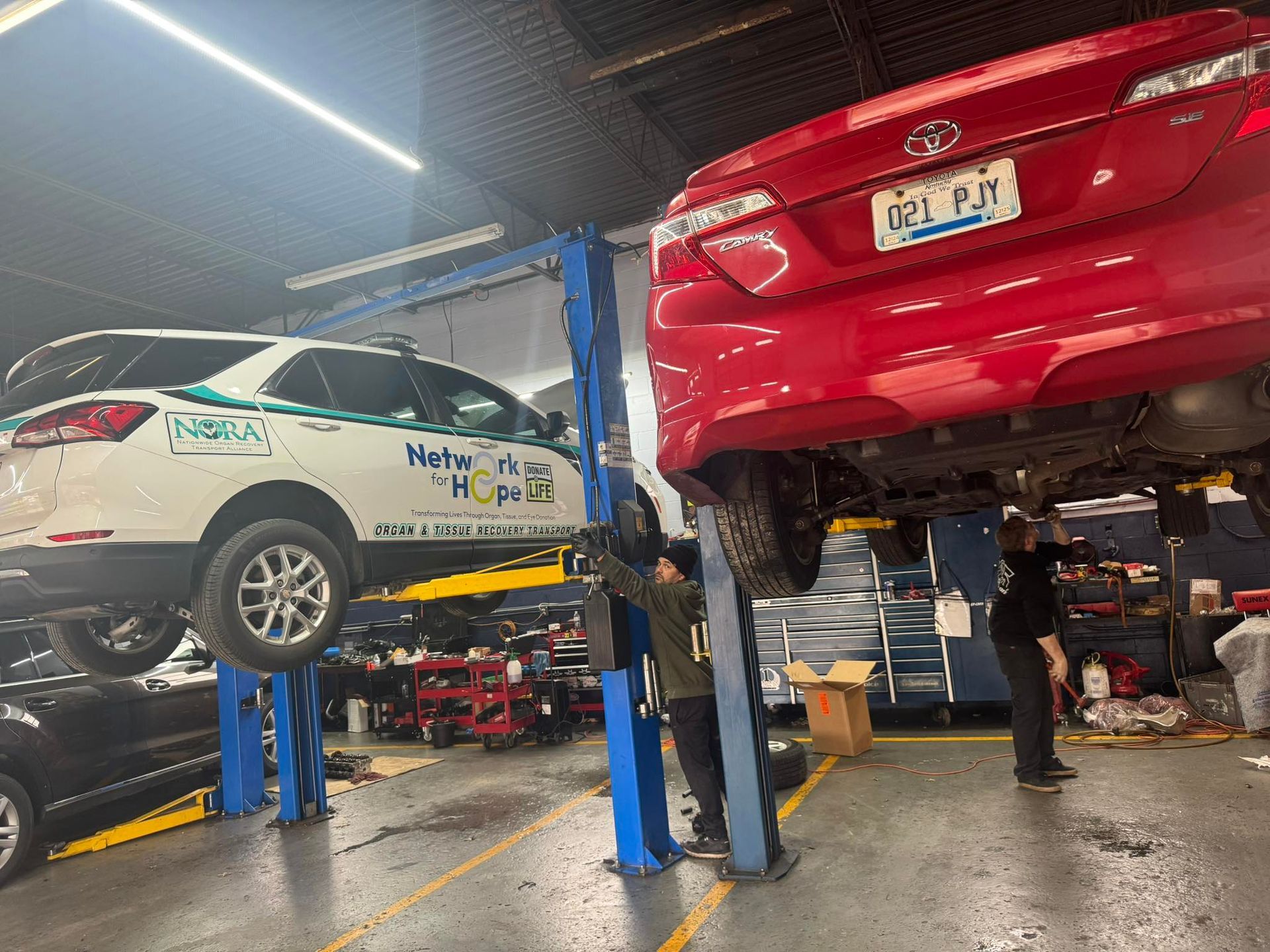 Cars on lifts in an auto repair shop, including a red sedan and a white service car.