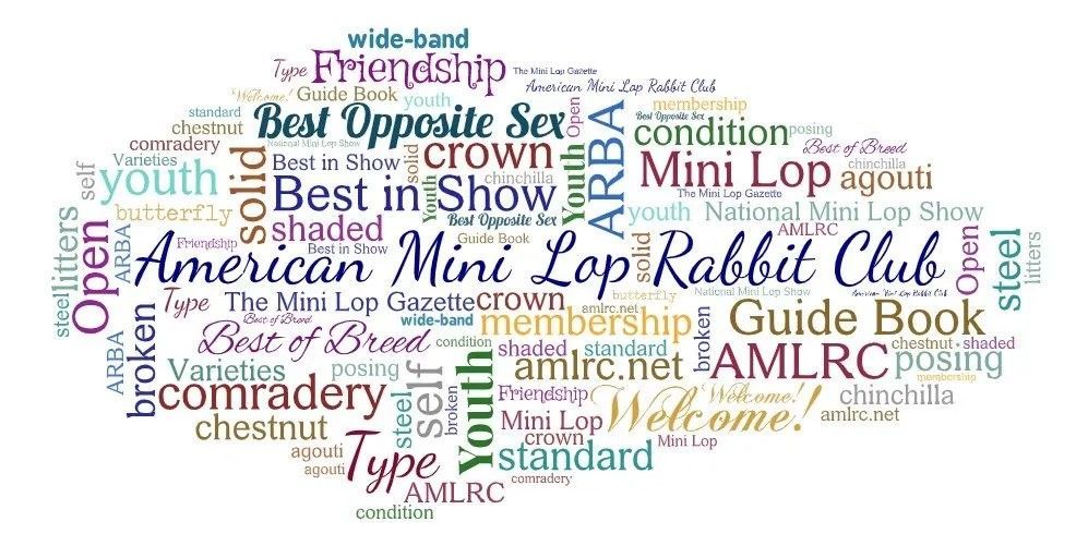Mini Lop Banquet flier