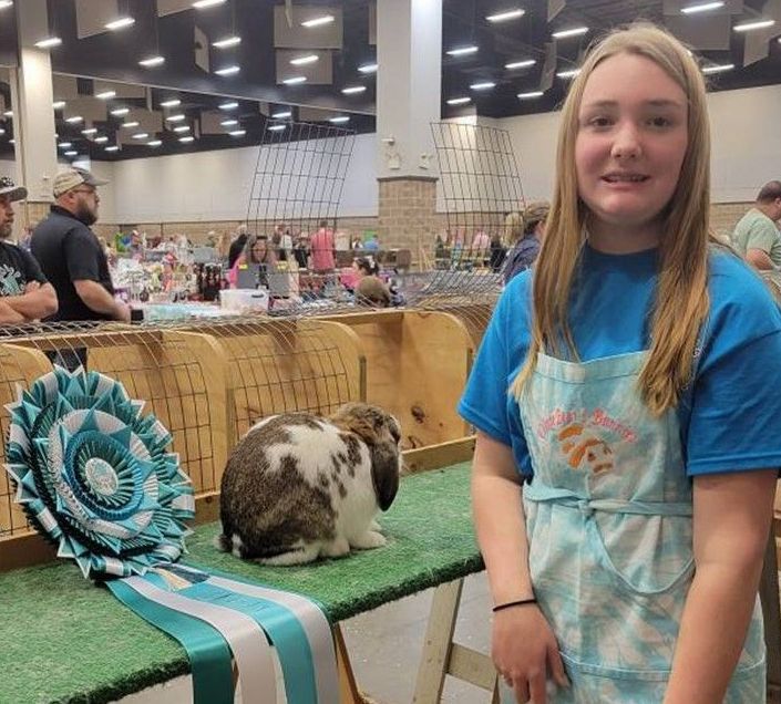 A girl in a blue shirt is standing in front of a rabbit