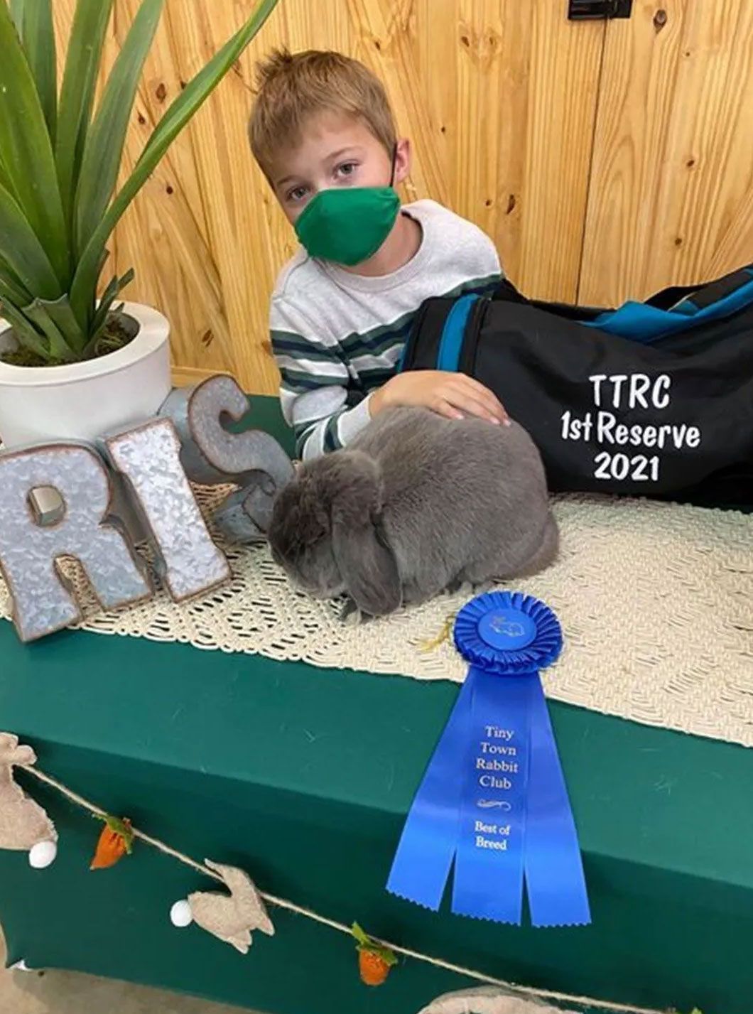 A young boy wearing a mask is holding a rabbit with a blue ribbon.