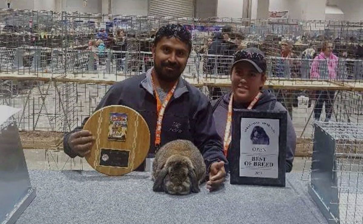 A man and a woman are holding a plaque and a rabbit.