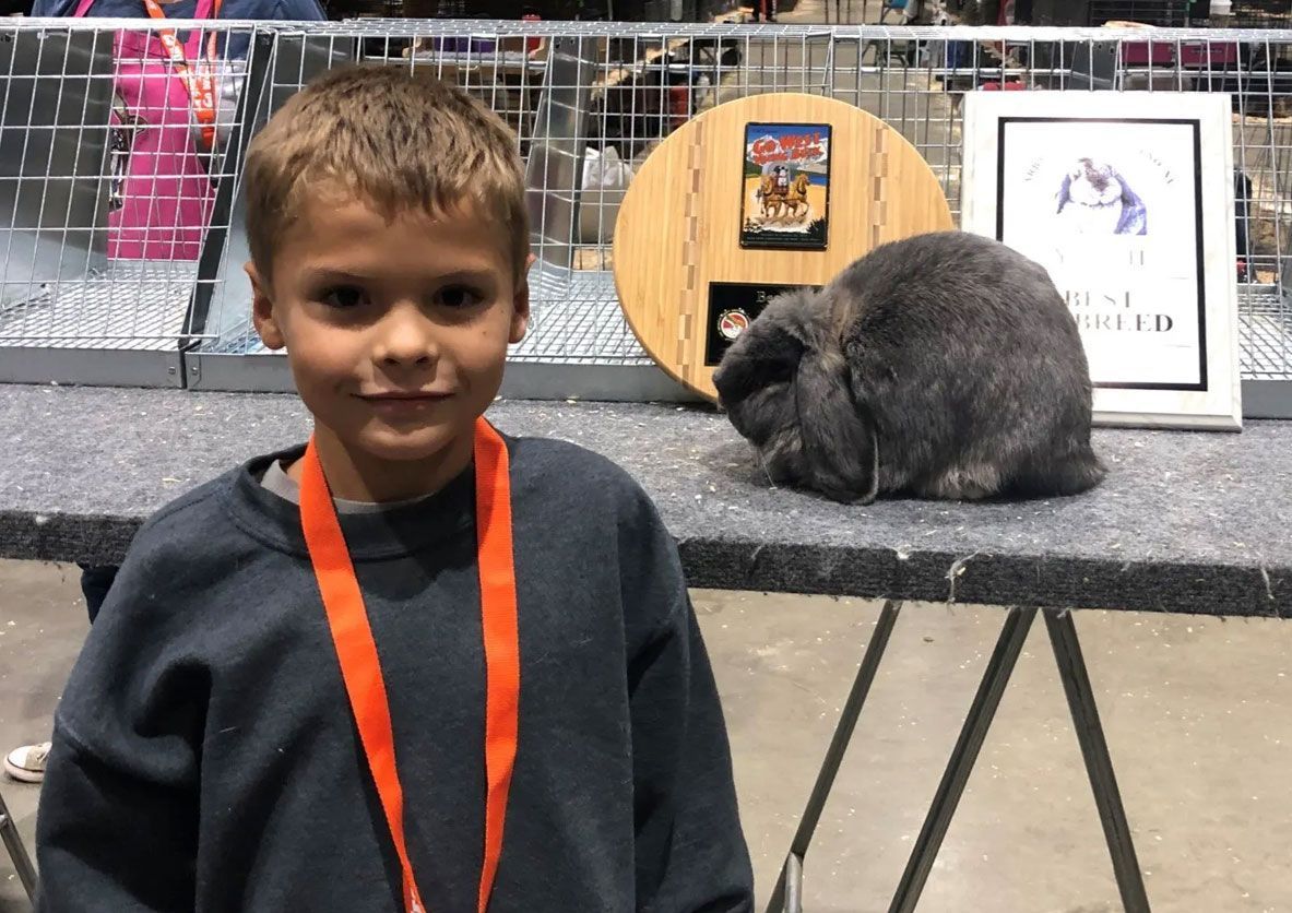 A young boy wearing an orange medal is standing in front of a rabbit