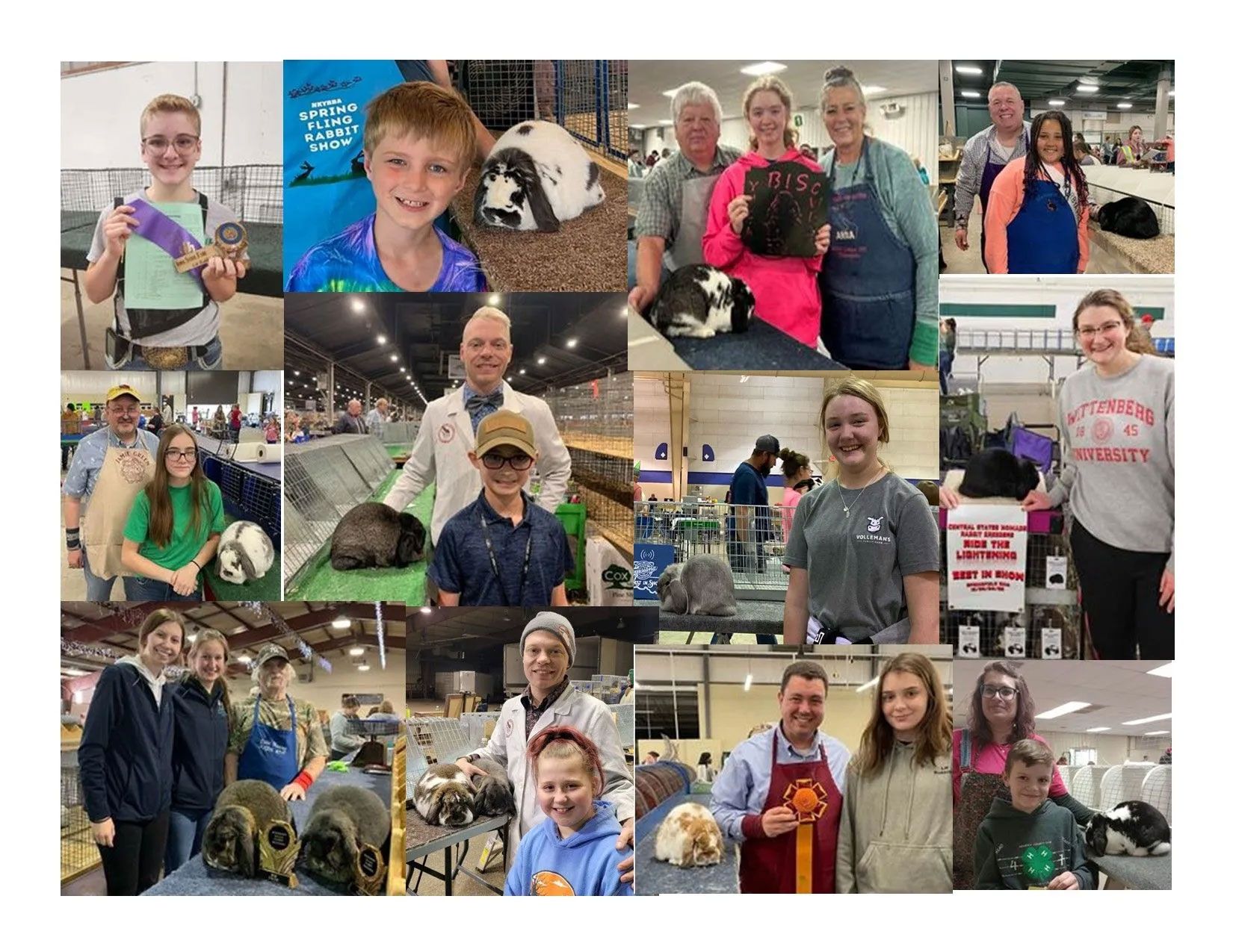 A collage of pictures of people and animals at a fair.