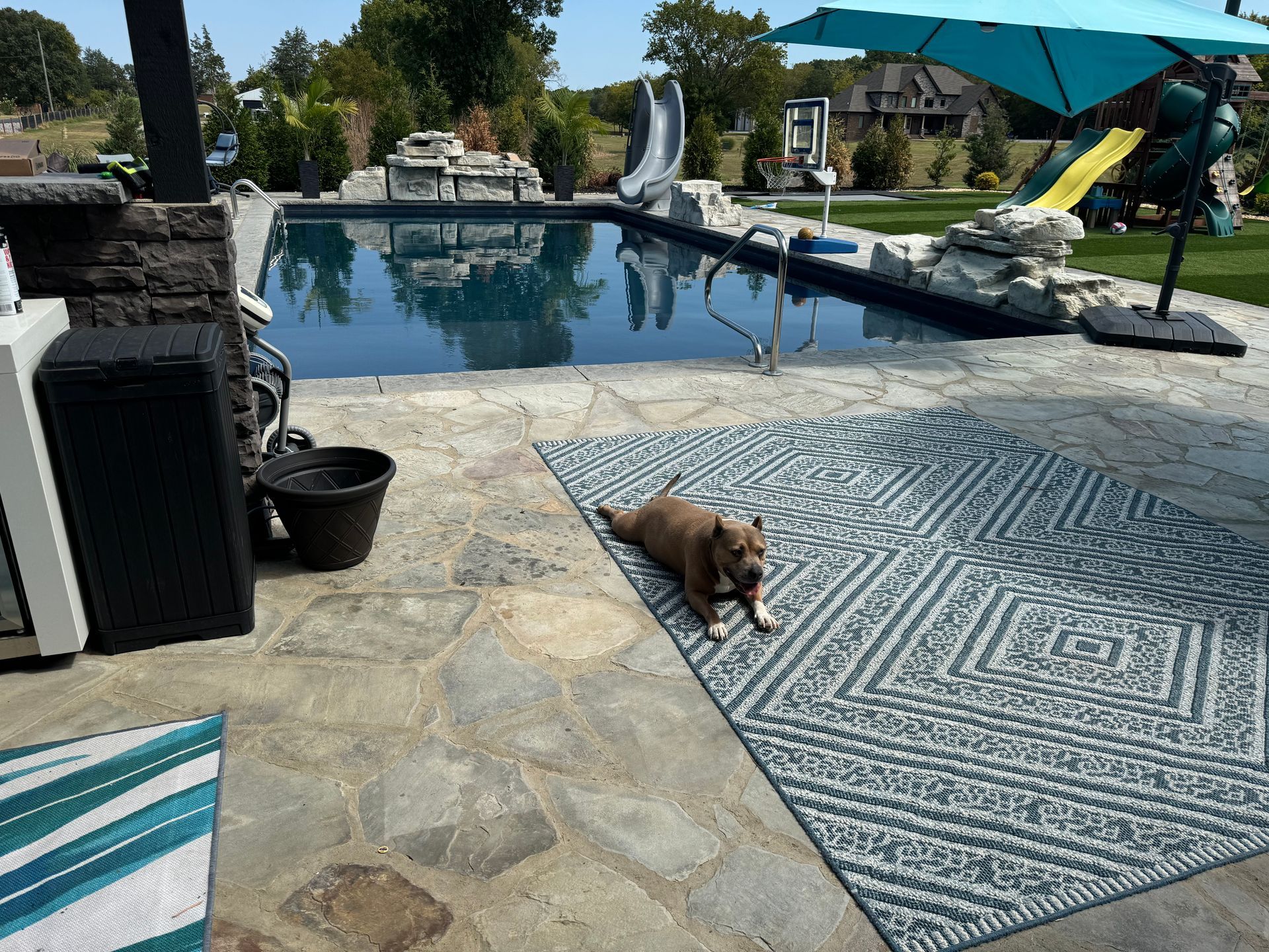 A dog is laying on a rug next to a pool.