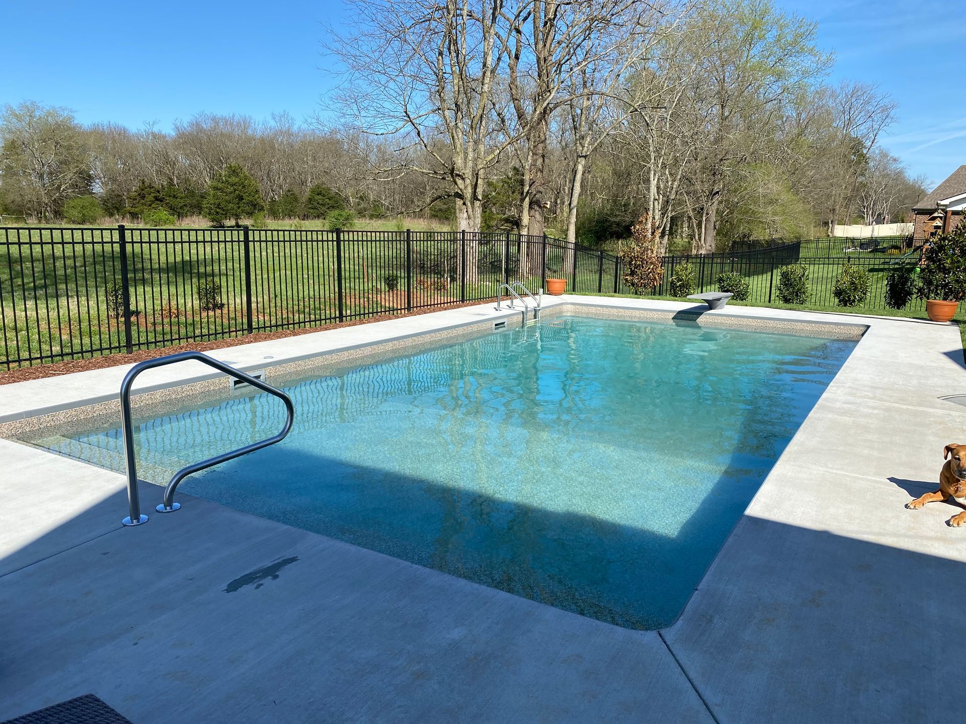 A dog is sitting next to a large swimming pool.