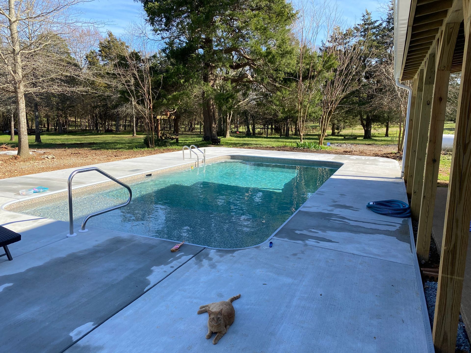 A dog is laying on the side of a swimming pool.