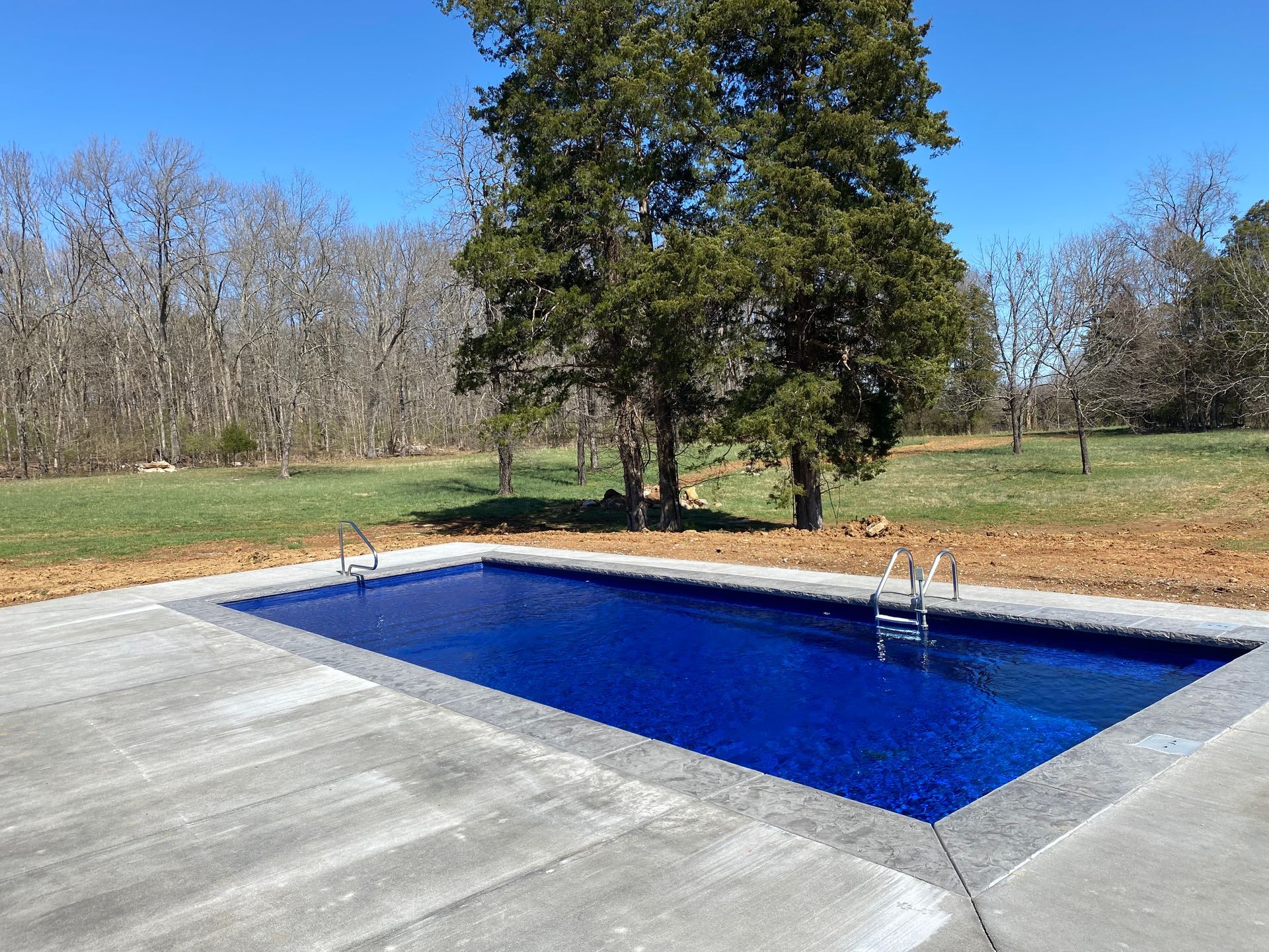 A large swimming pool with a tree in the background.