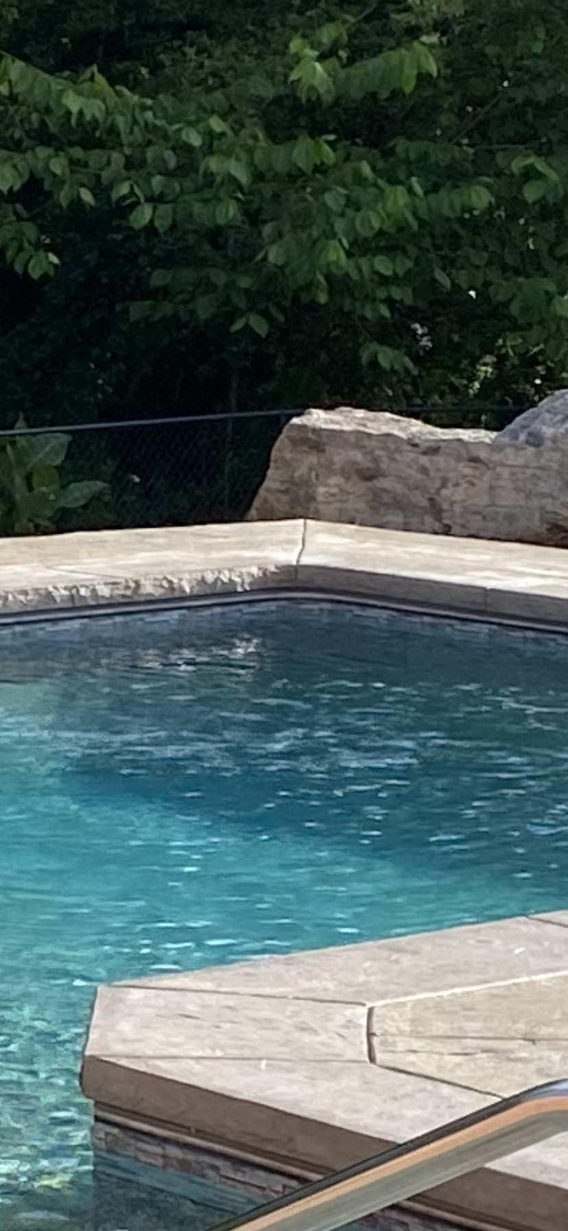 A large swimming pool surrounded by rocks and trees.