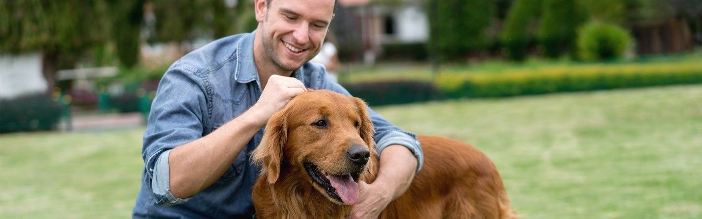 A man is petting a dog in a park.
