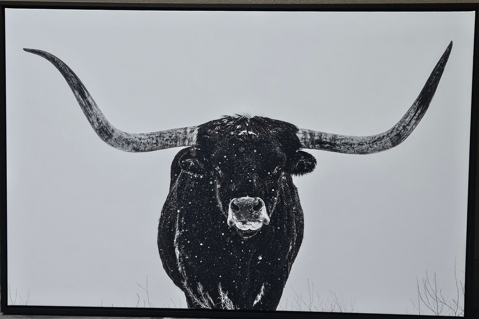 A black and white close-up of a longhorn bull facing forward, set against a plain, light background.