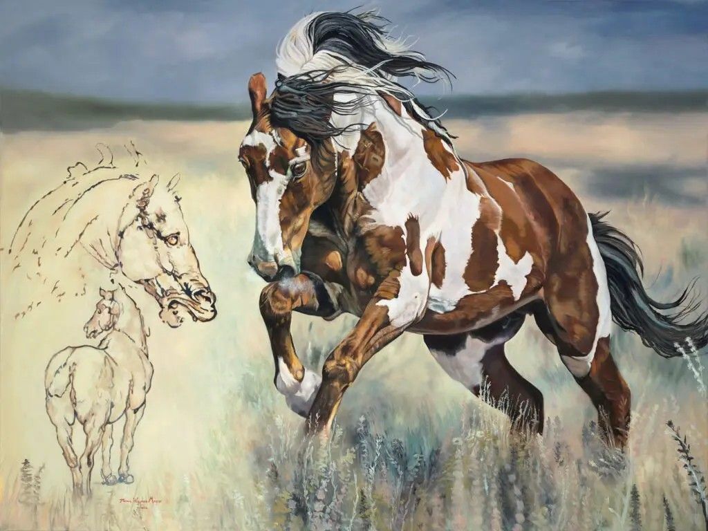 A painted brown and white pinto horse gallops across a field, beside a faint line drawing of two horses.