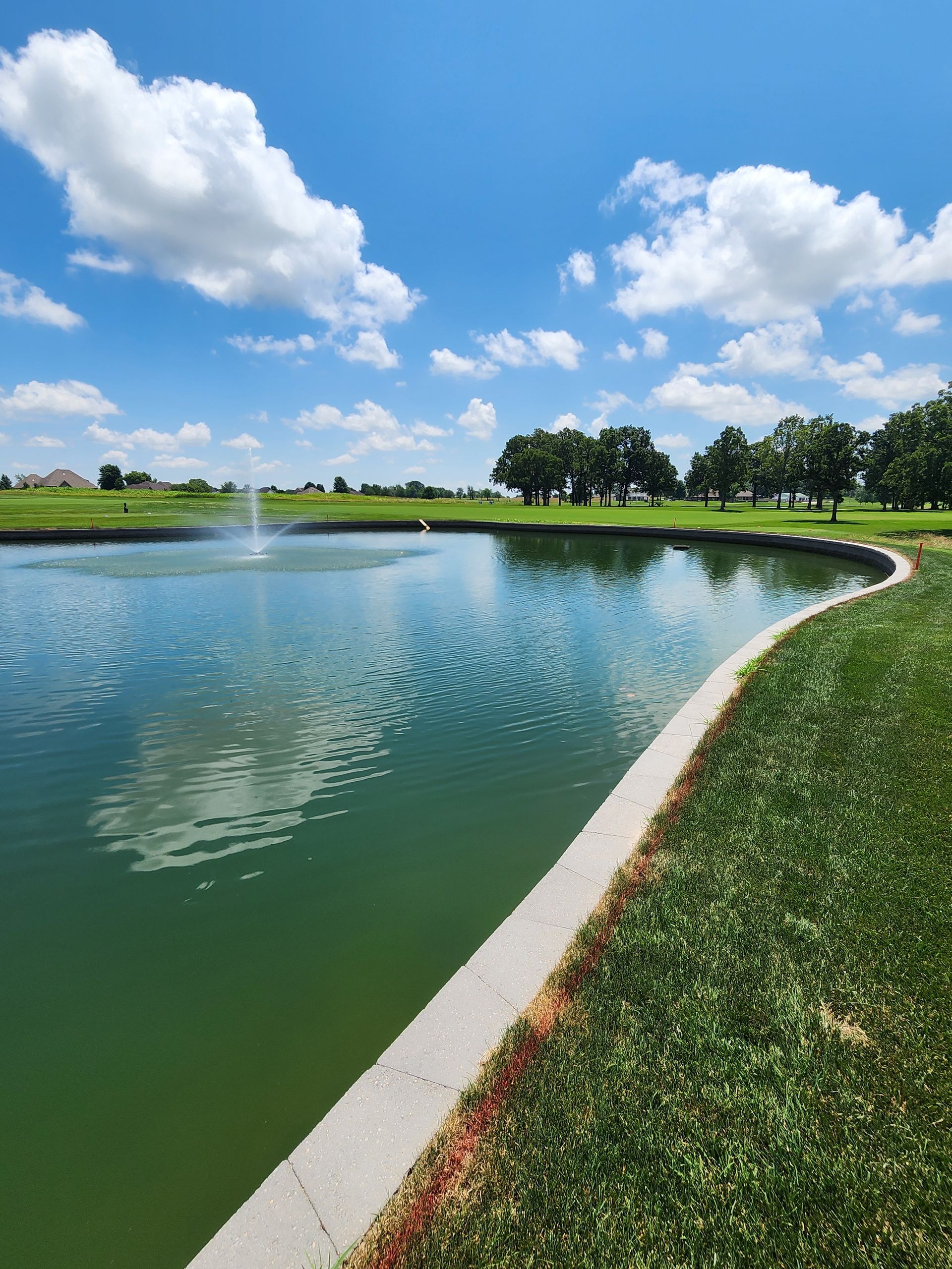 Curved pond with green water, grassy banks, and blue sky with scattered clouds