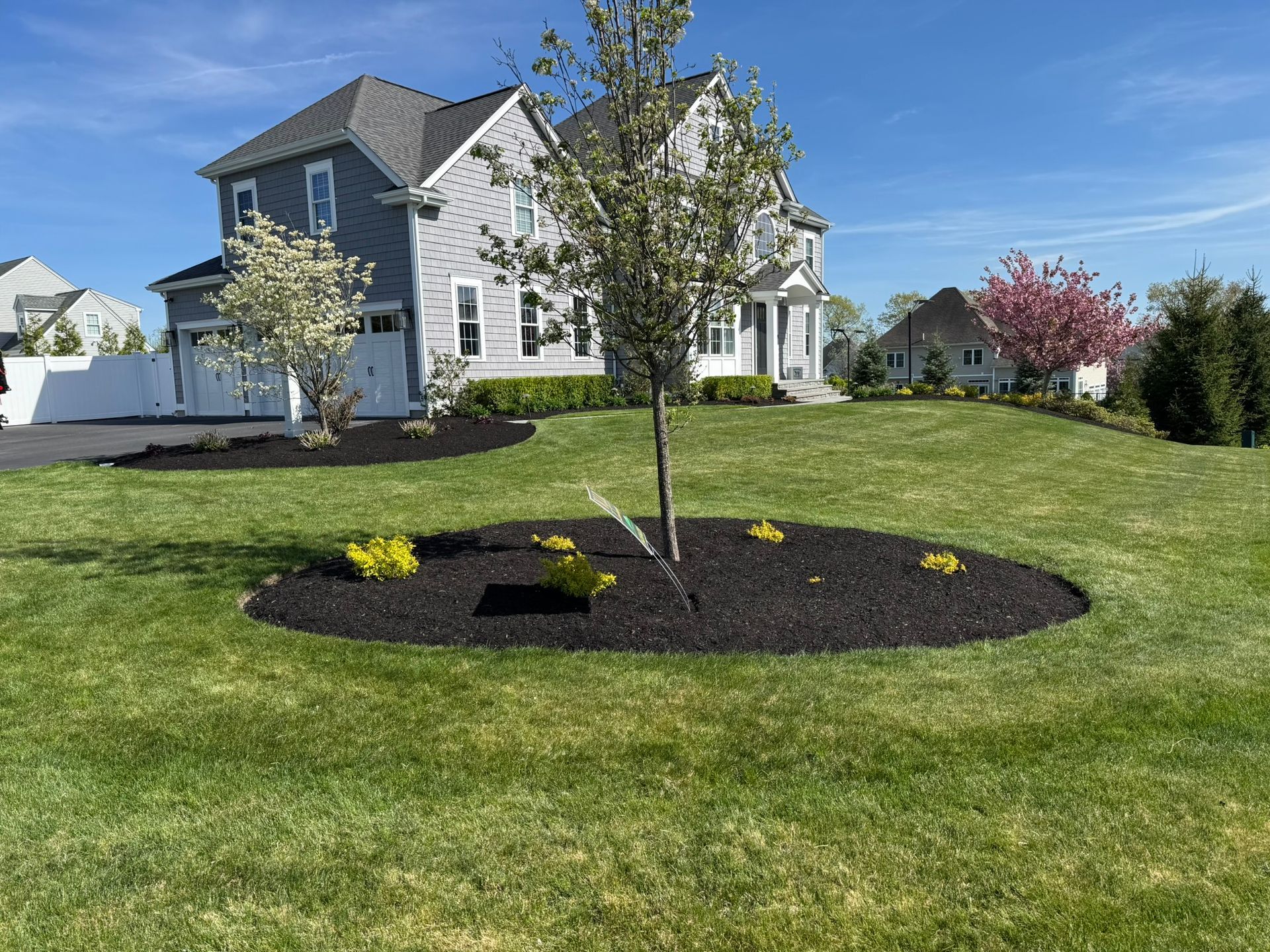A suburban house with grey siding and a large front lawn featuring two mulched garden beds and flowering spring trees.