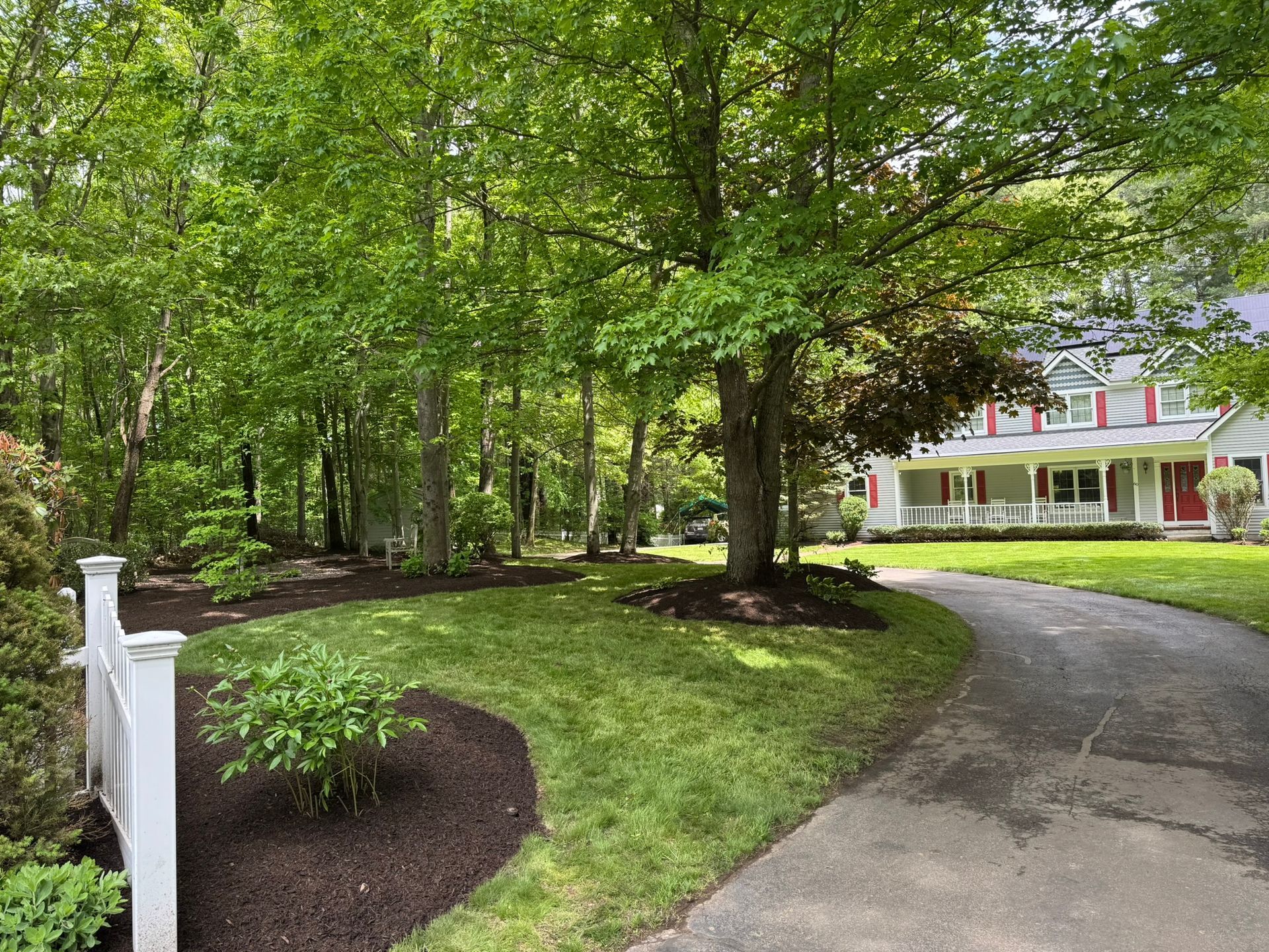 A winding asphalt driveway leads toward a house with red shutters, framed by large green trees and landscaped mulch beds.