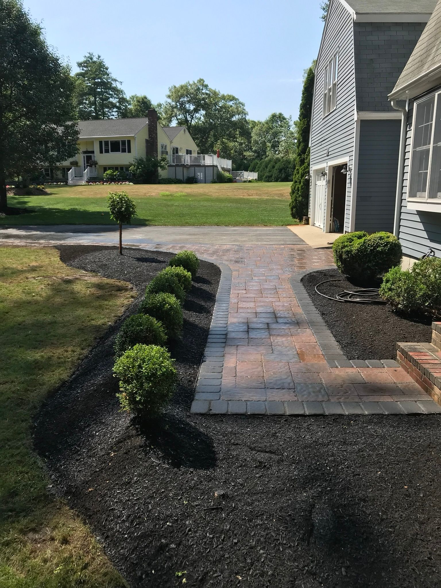 A paved walkway bordered by black mulch and small green shrubs leads toward a gray house with a driveway.