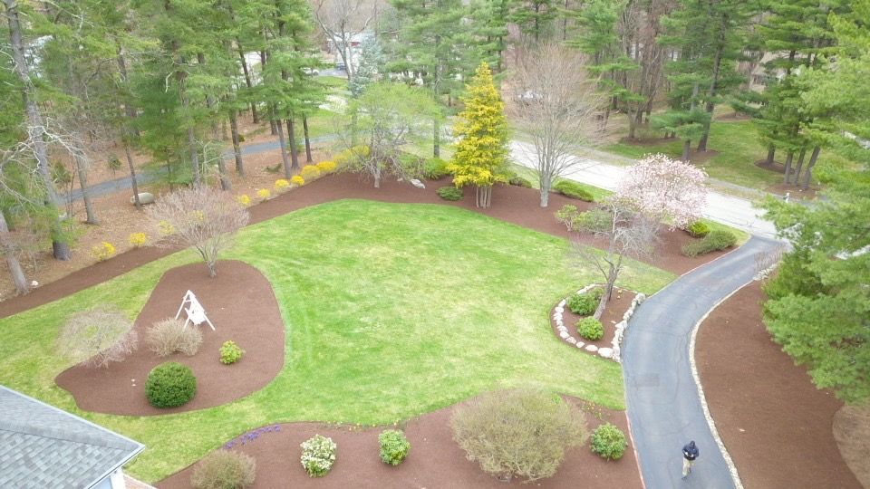An aerial view of a manicured lawn surrounded by mulch beds, trees, and a paved driveway leading to a house.
