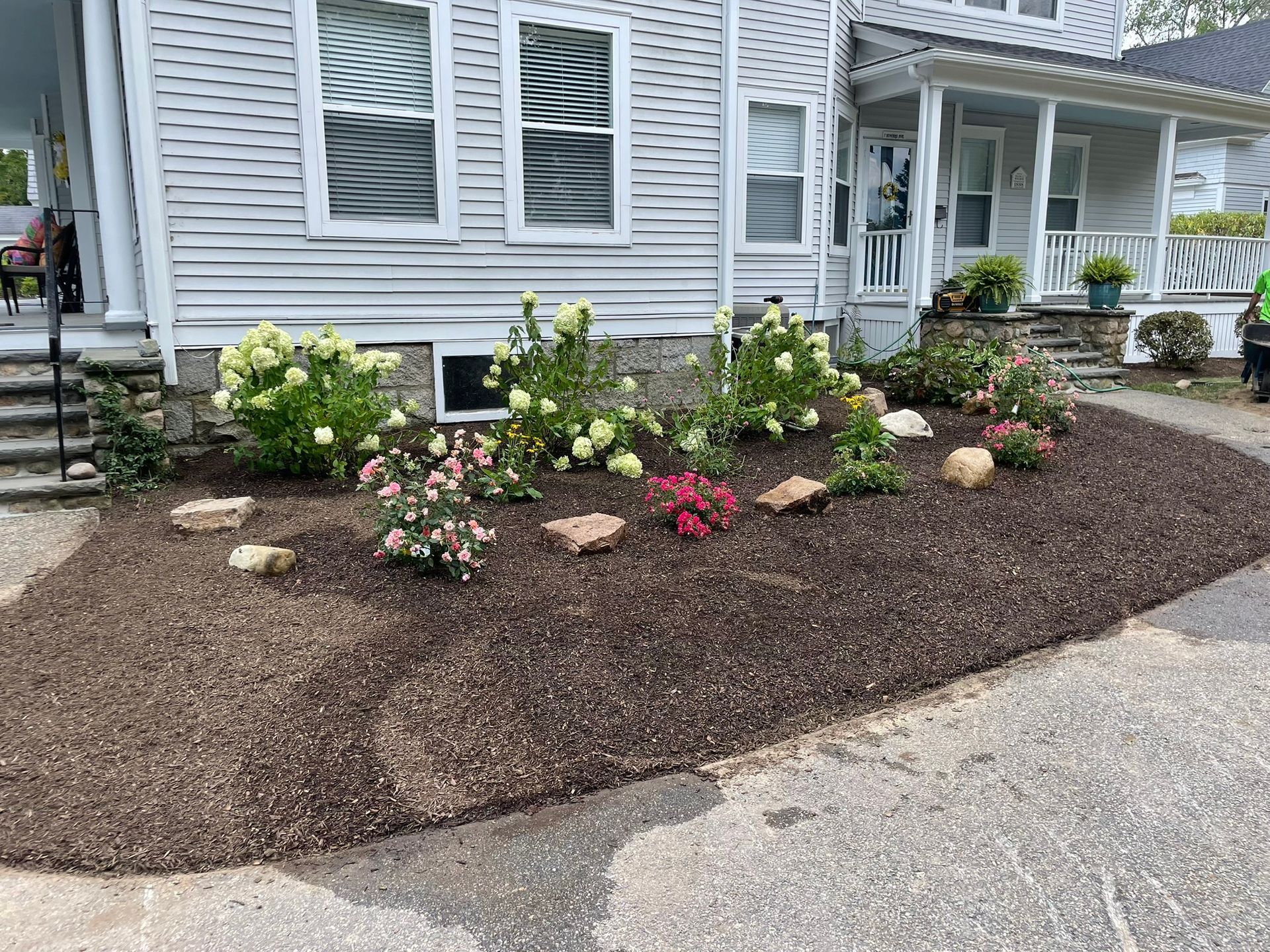 A mulched garden bed in front of a white-sided house with green shrubs, flowering plants, and scattered rocks.