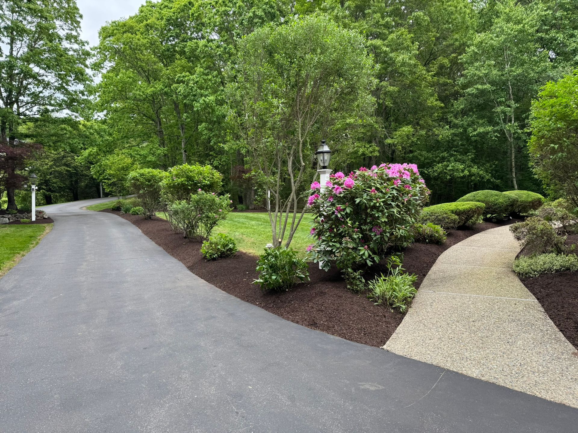A paved driveway curves left beside a light-colored walkway, both bordered by garden beds with shrubs and pink flowers.