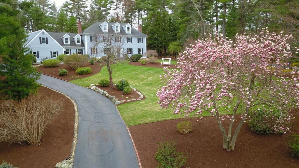 A gray two-story house with a long driveway, a green lawn, and a large tree in full pink bloom.