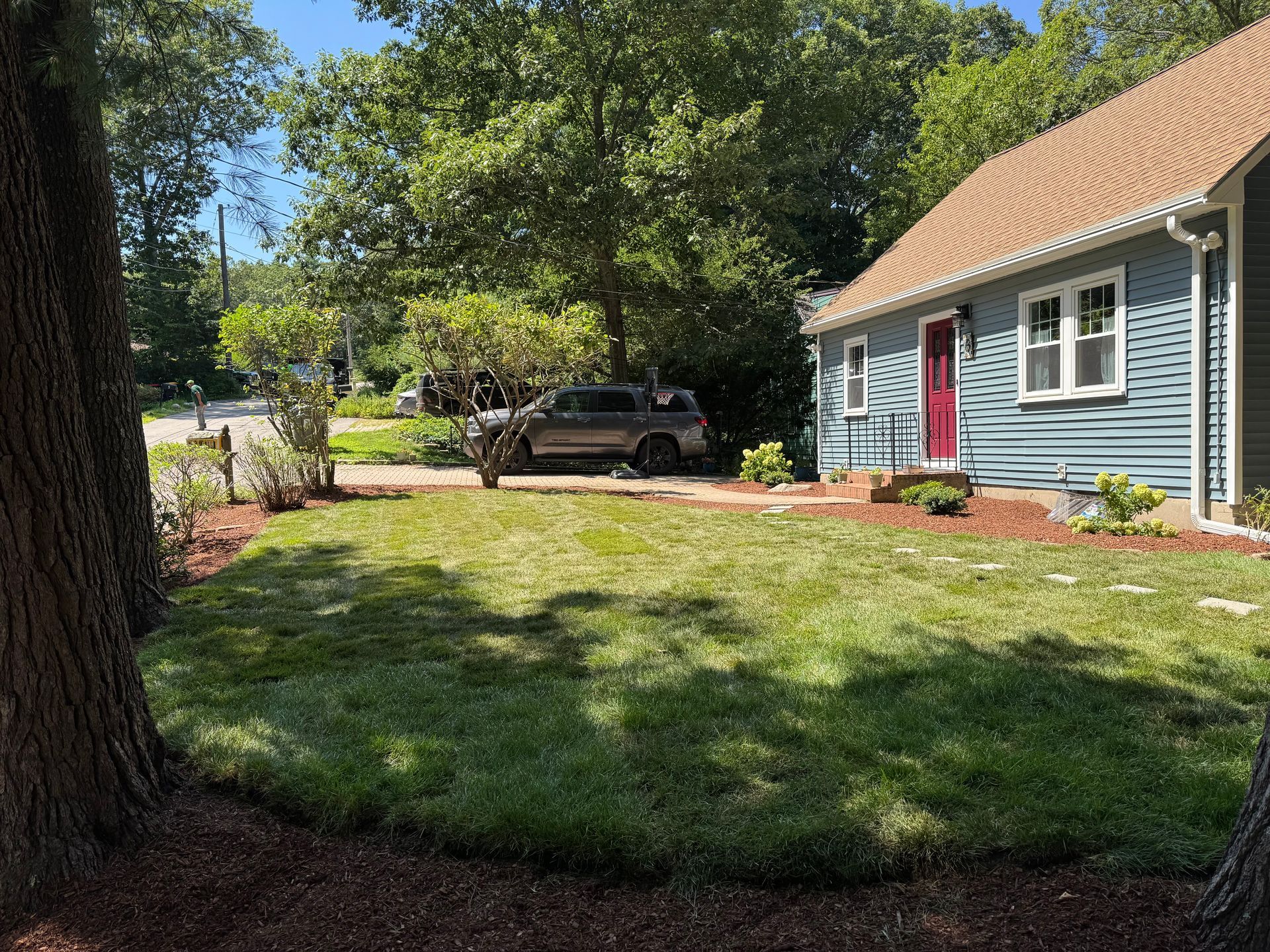 A blue house with a red door sits beside a manicured green lawn, surrounded by mature trees on a sunny day.