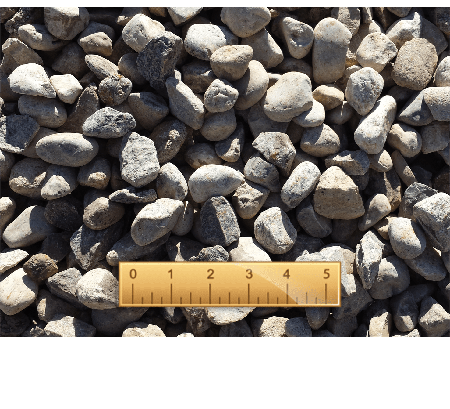 Large Gray River Rock