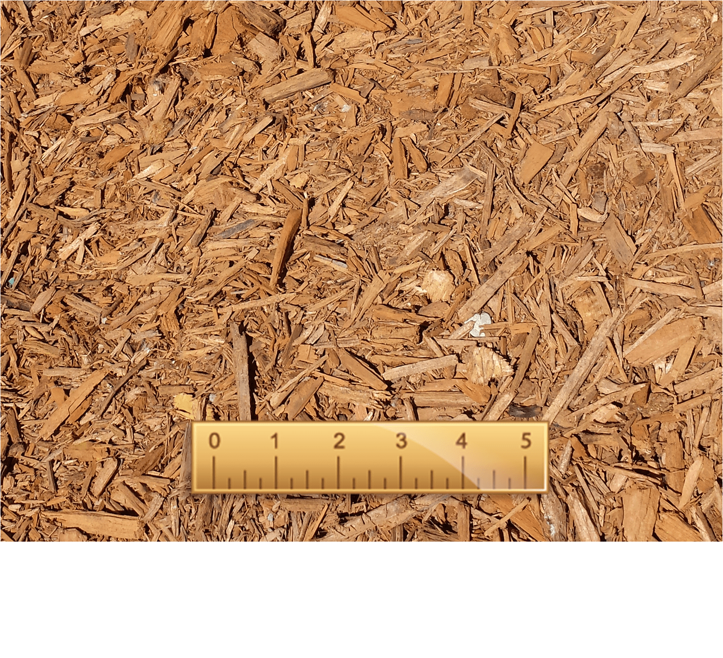 Gold  Mulch