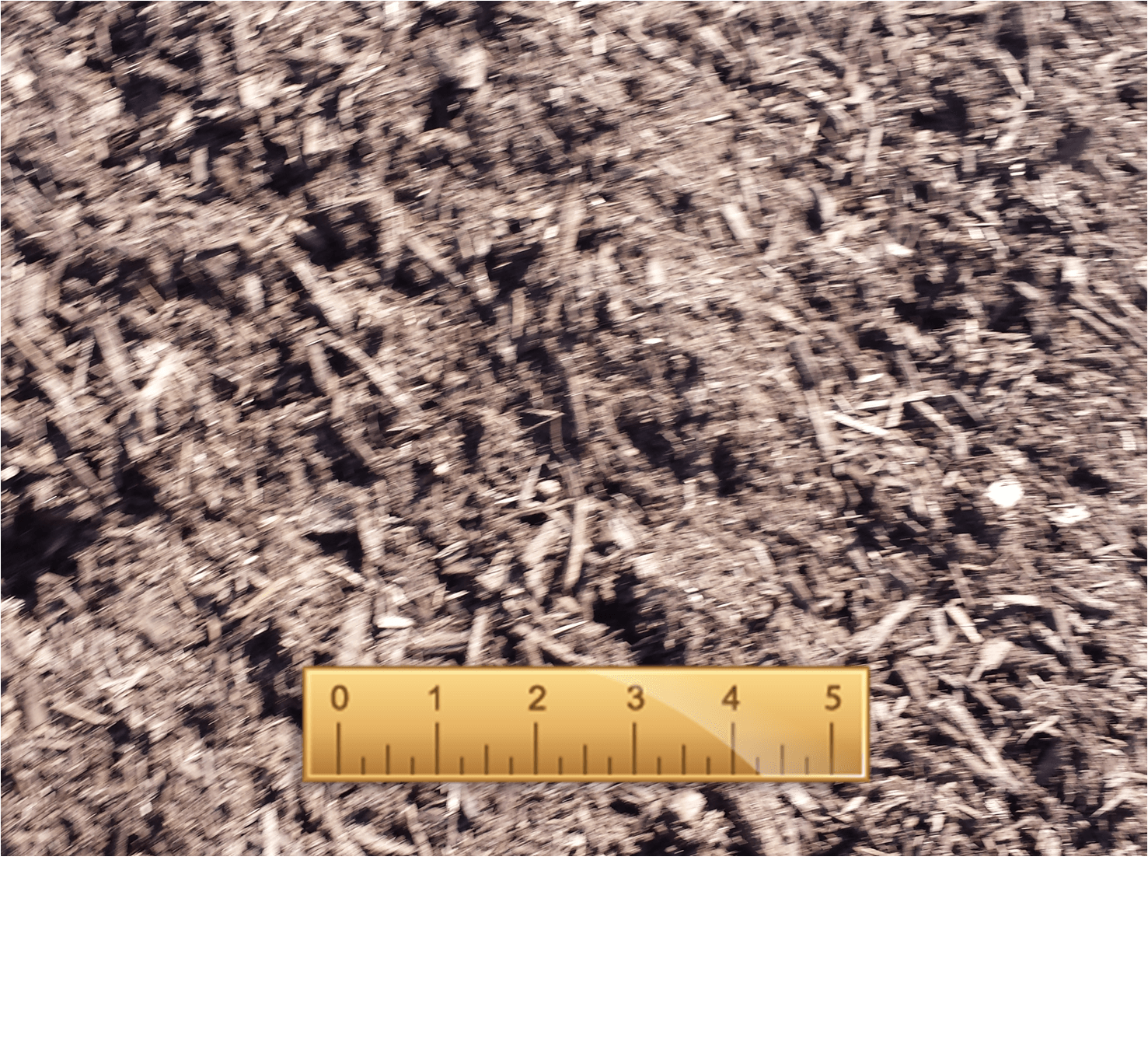 Light Brown Chocolate Mulch