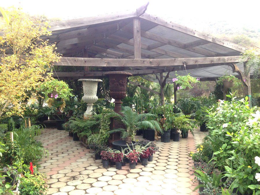 Southland Nursery Photo Gallery | Sun Valley, CA