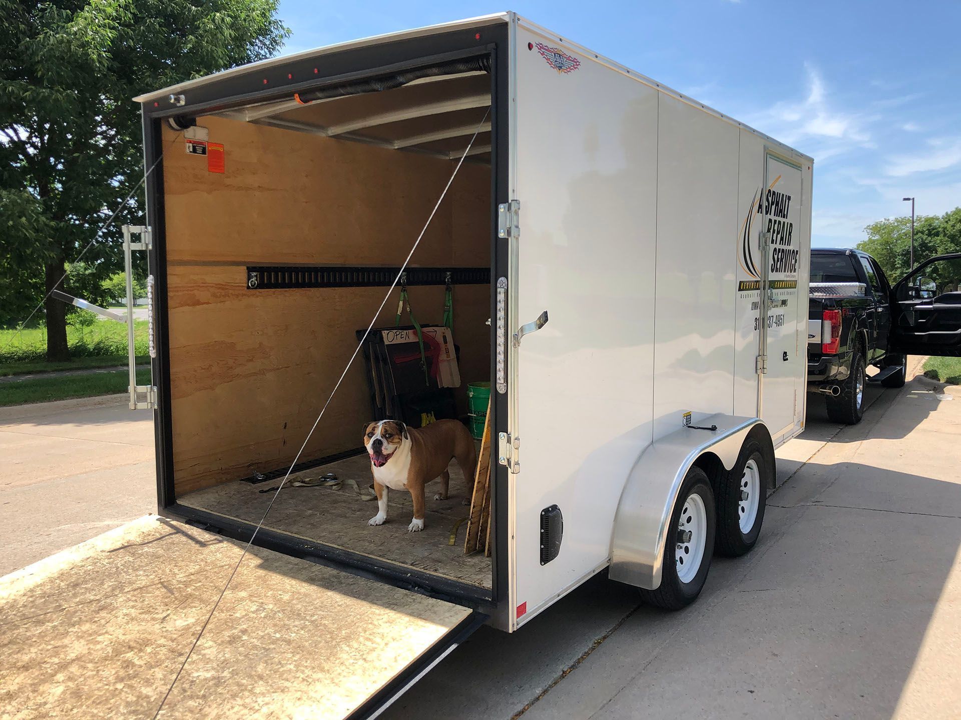 Dog inside Asphalt Repair Service's truck