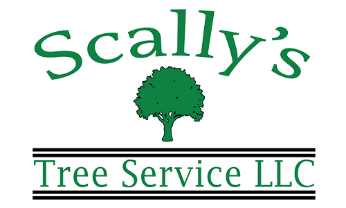 Scally's Tree Service - Logo