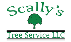 Scally's Tree Service - Logo