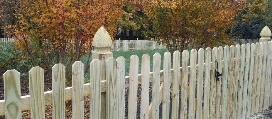 White picket fence in front of autumn trees with colorful fall foliage