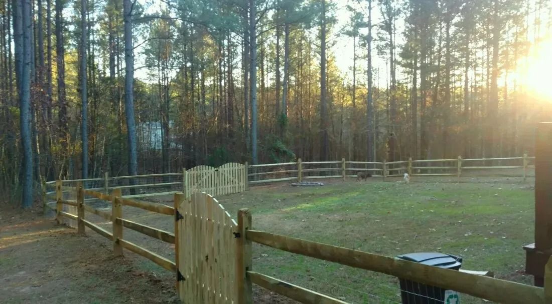 Wooden fence around a grassy paddock in a pine forest at sunset
