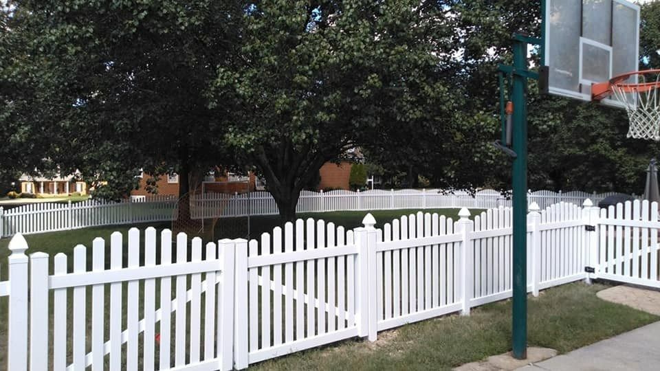 White picket fence beside a street and basketball hoop, with large trees in the background.