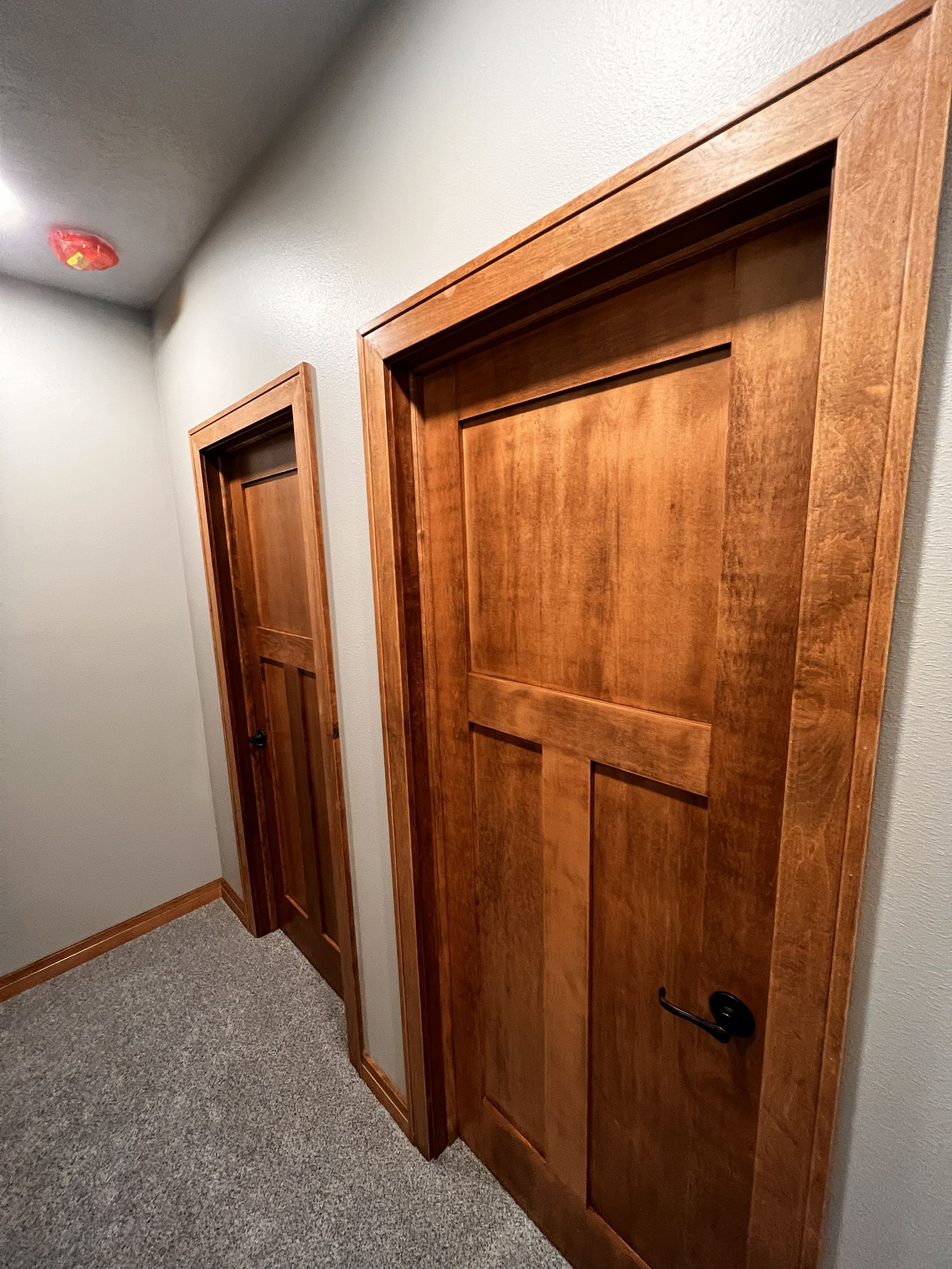 Two wooden doors with dark hardware in a hallway with carpet.