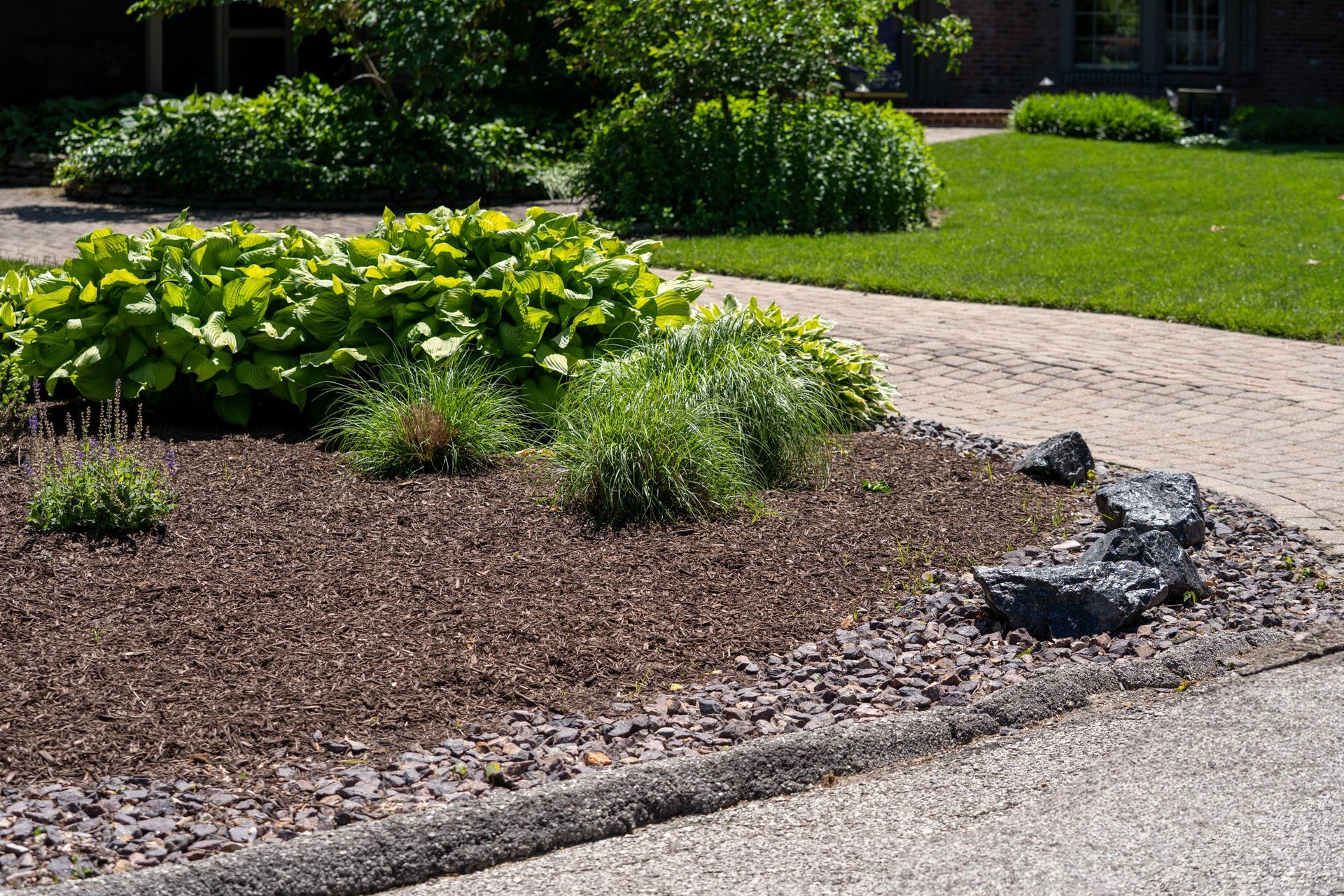 A garden bed with green plants and dark mulch, bordered by stone and a paved walkway.