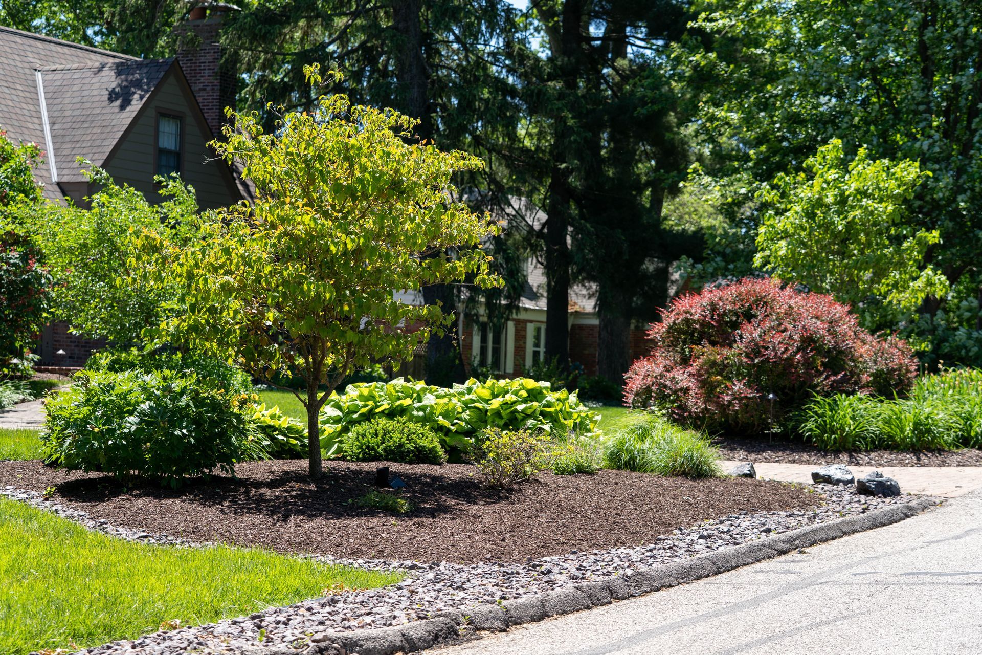 Landscaped yard with trees, shrubs, and mulch bed near a street with a house in the background.
