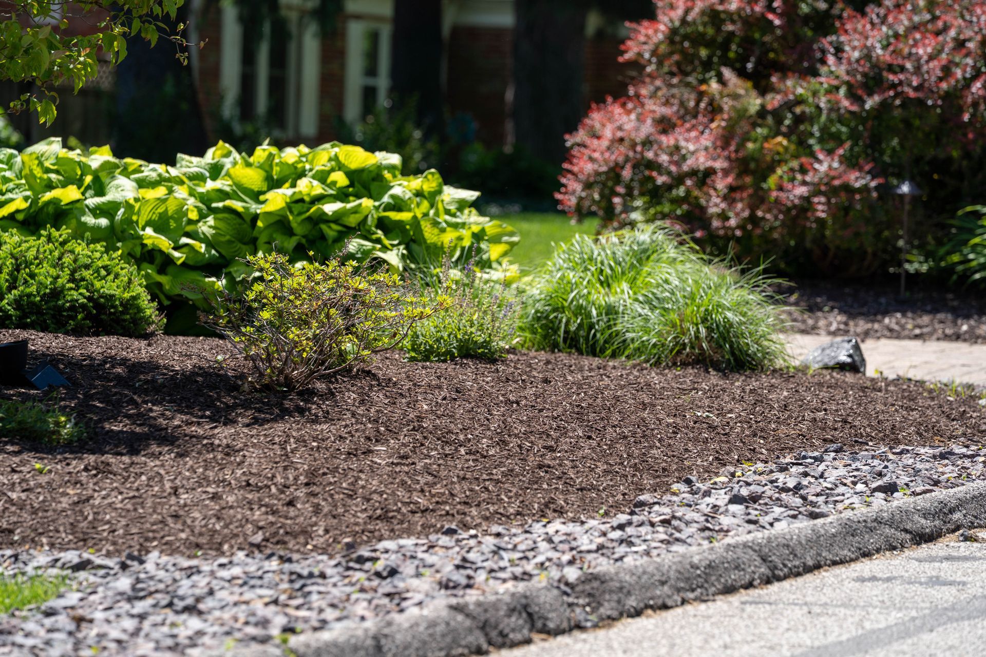Landscape bed with brown mulch, various green and red plants, and gray curb edging.