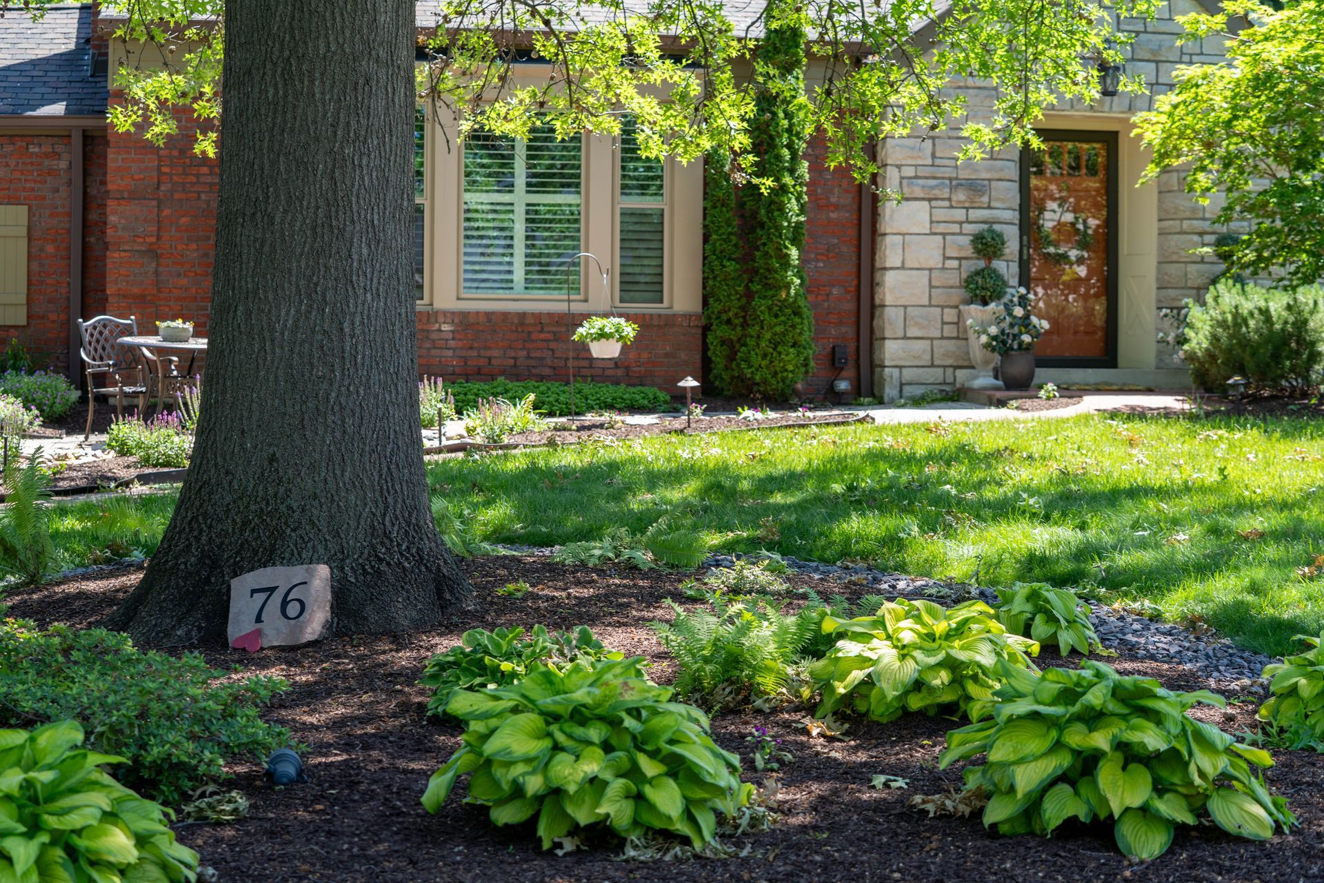 Lawn and garden in front of a brick house with large tree, hostas, and stone accents. House number 76.