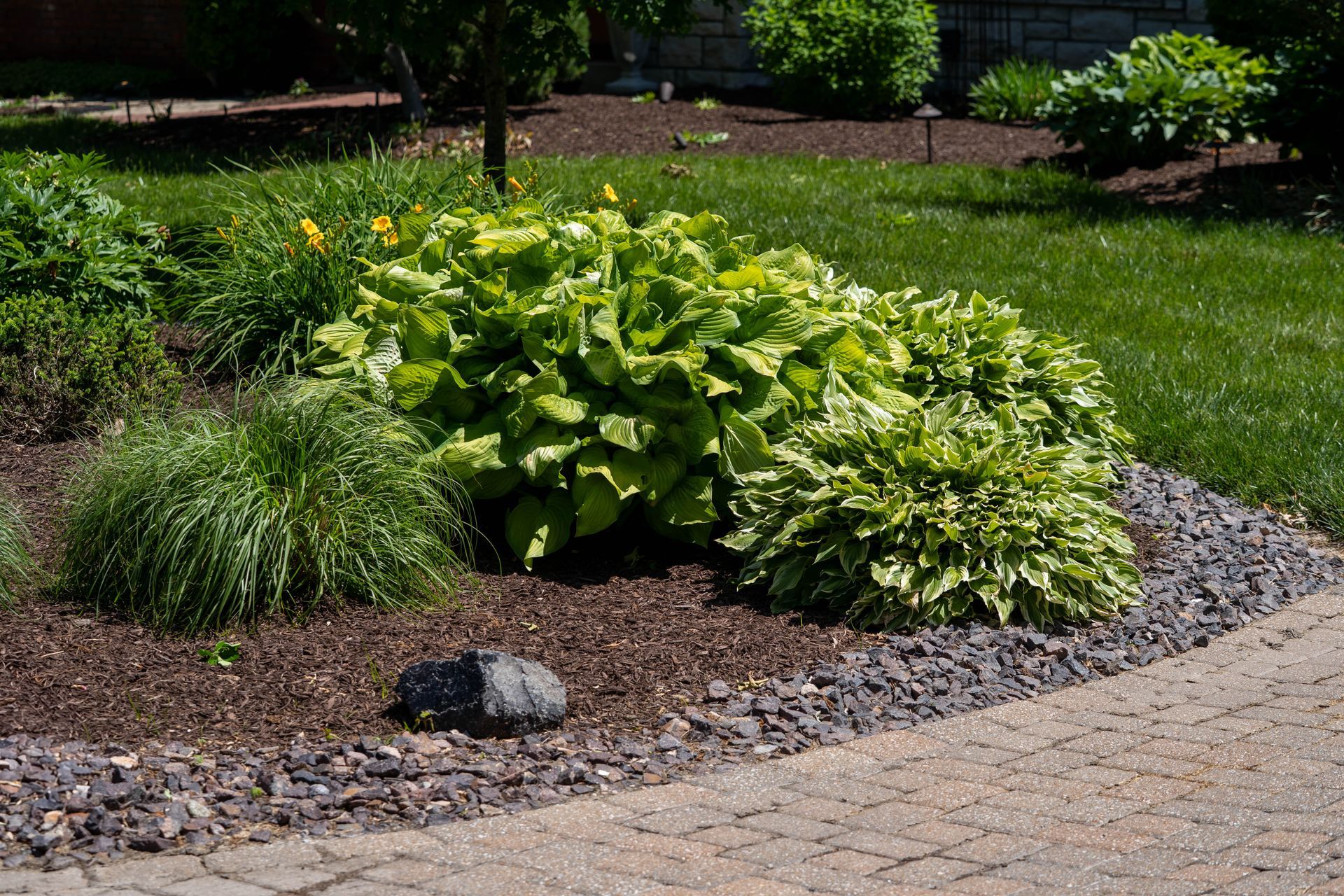 Landscaped garden bed with lush green plants and brown mulch, edged with gray stones and a brick pathway.