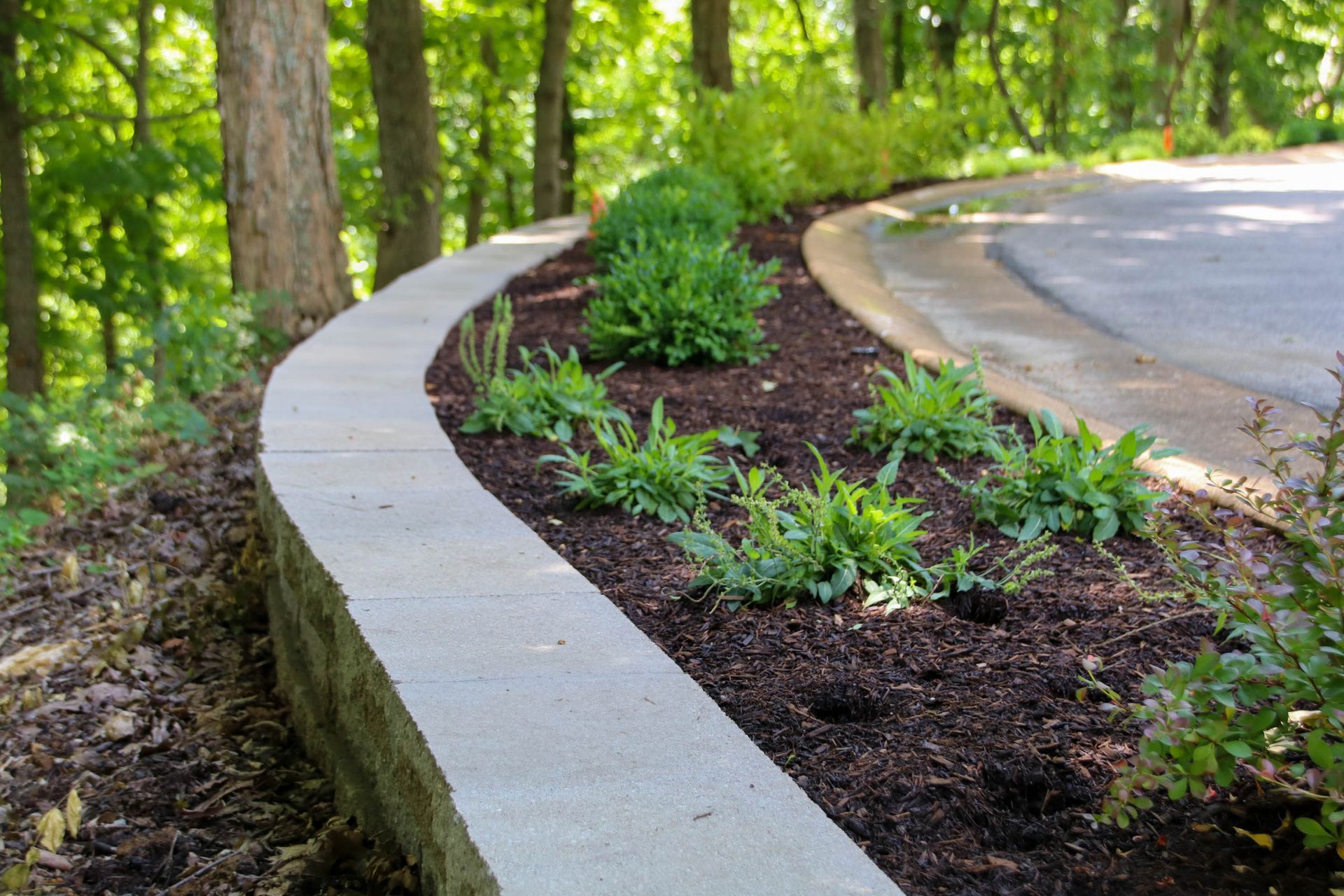 Stone retaining wall with plants and trees along a curved road.