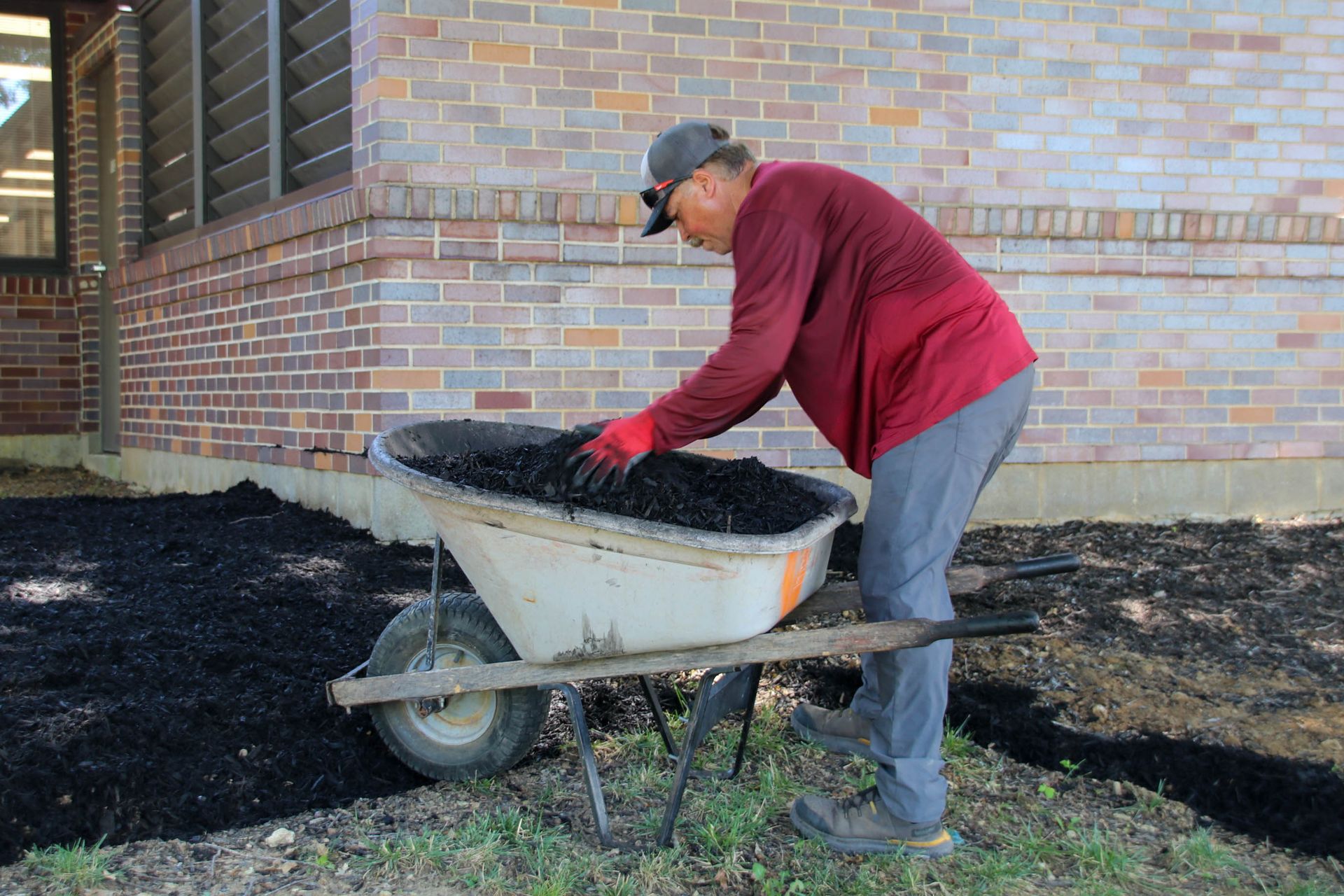 Man in red shirt and gray pants putting mulch from a wheelbarrow onto a flowerbed near a brick building.