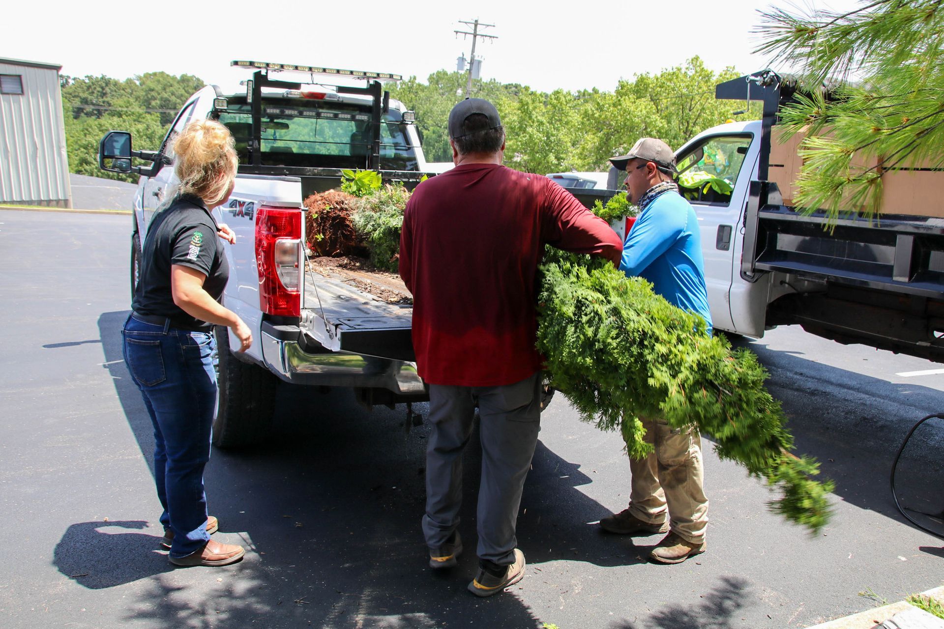 Three people loading greenery into a white pickup truck on a sunny day.