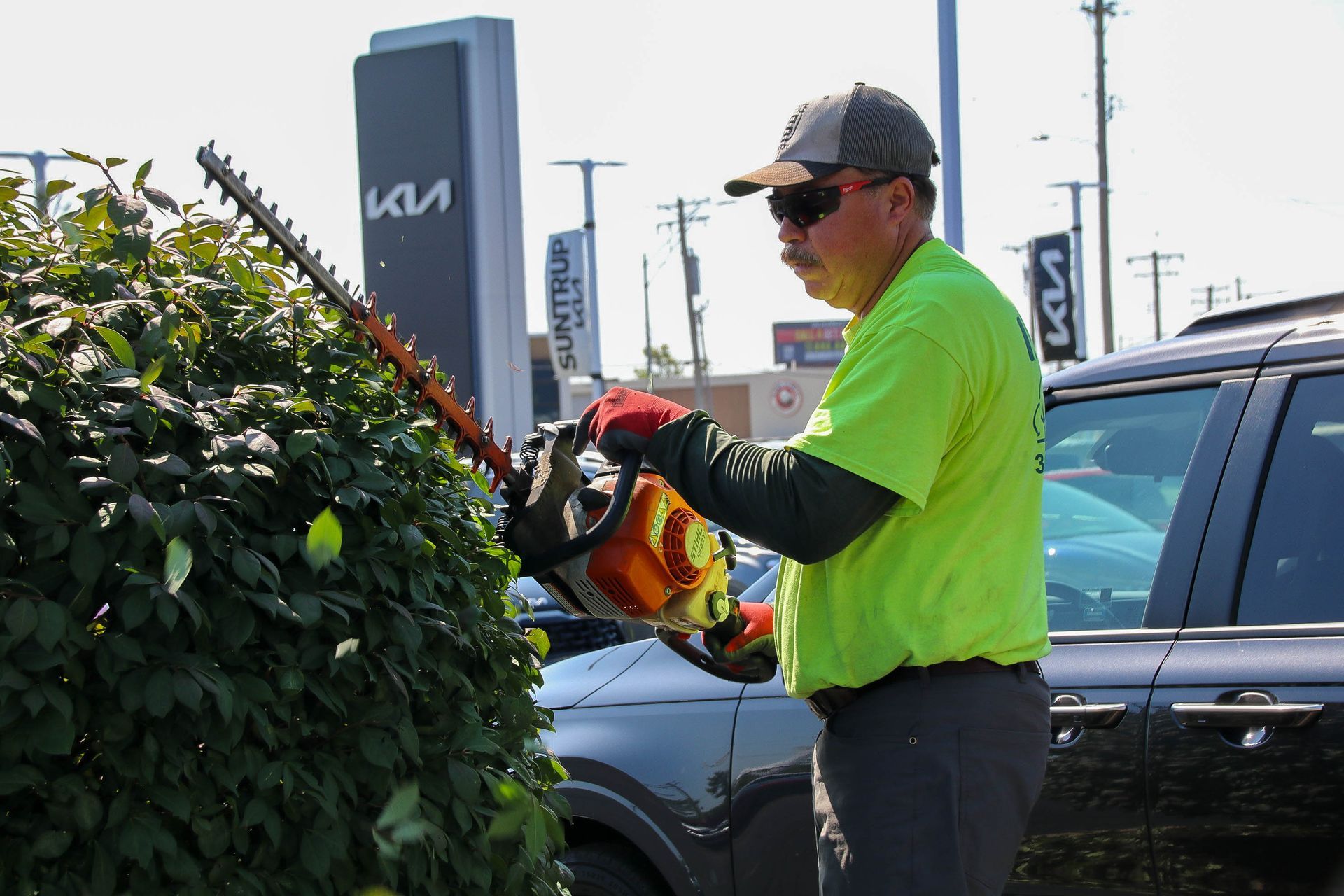 Man in neon green shirt trimming bushes with hedge trimmer near Kia dealership.