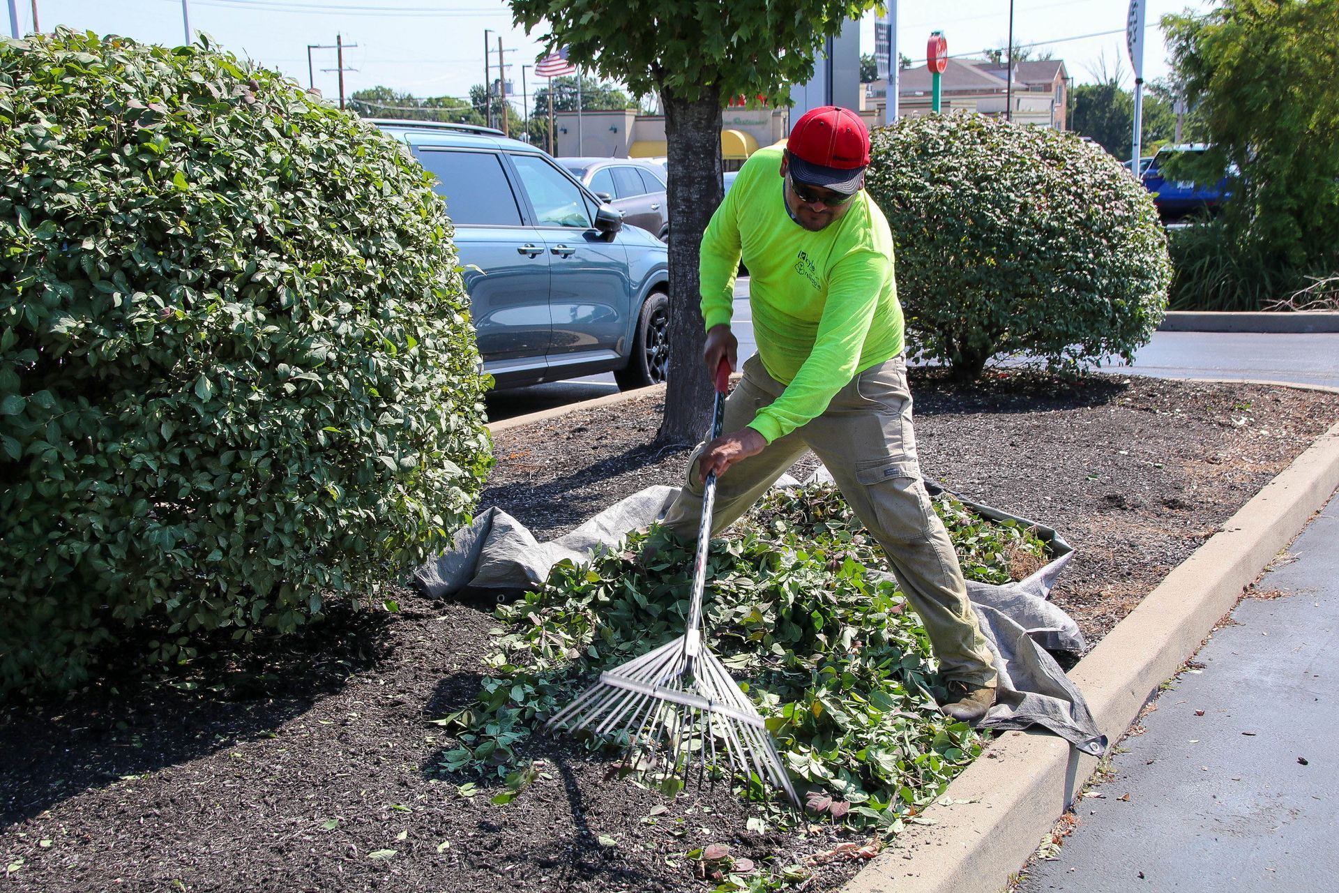 Man raking leaves near shrubs and a parked vehicle in a parking lot. He wears a neon shirt and red hat.
