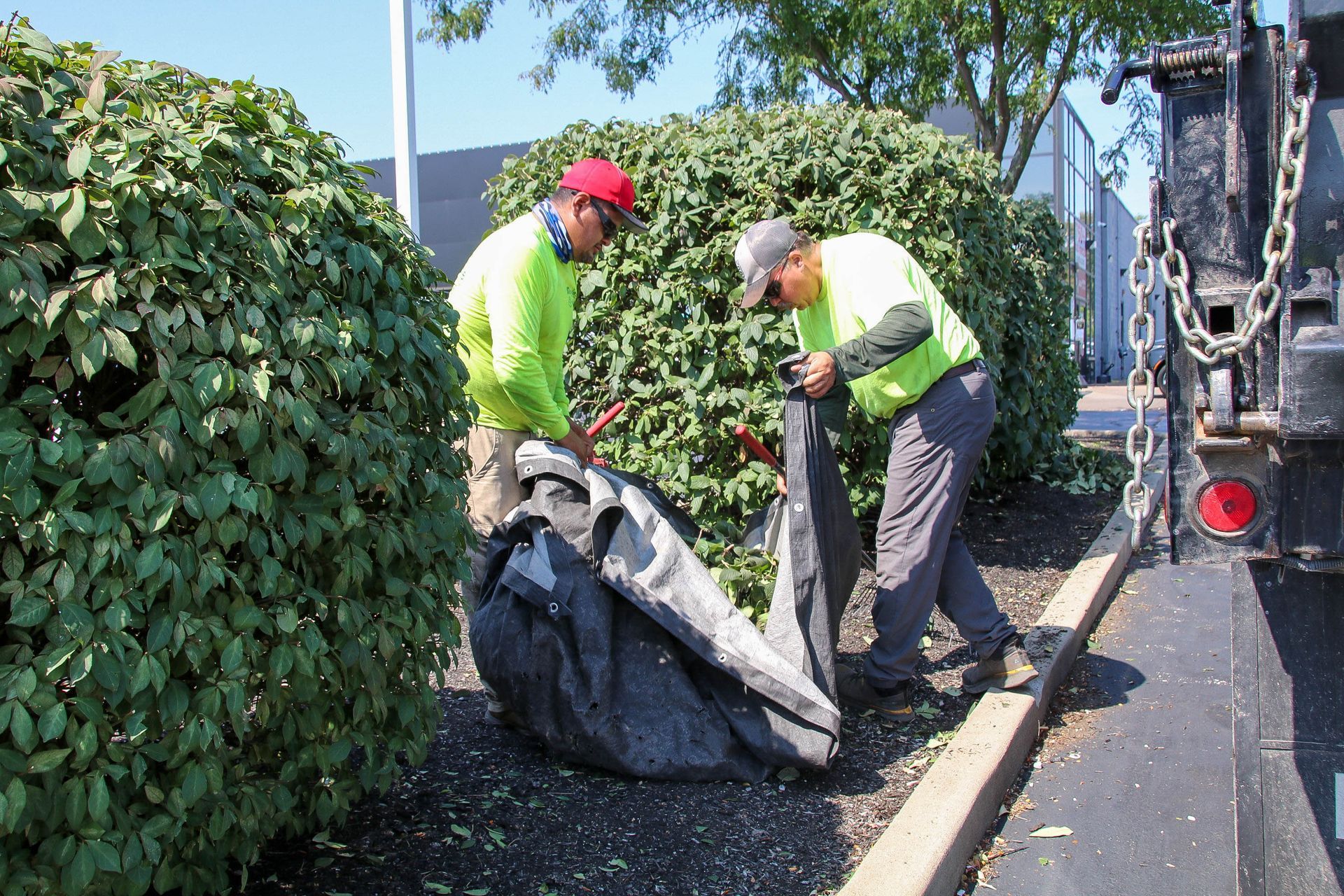 Two workers in green safety vests load black bags near trimmed bushes.