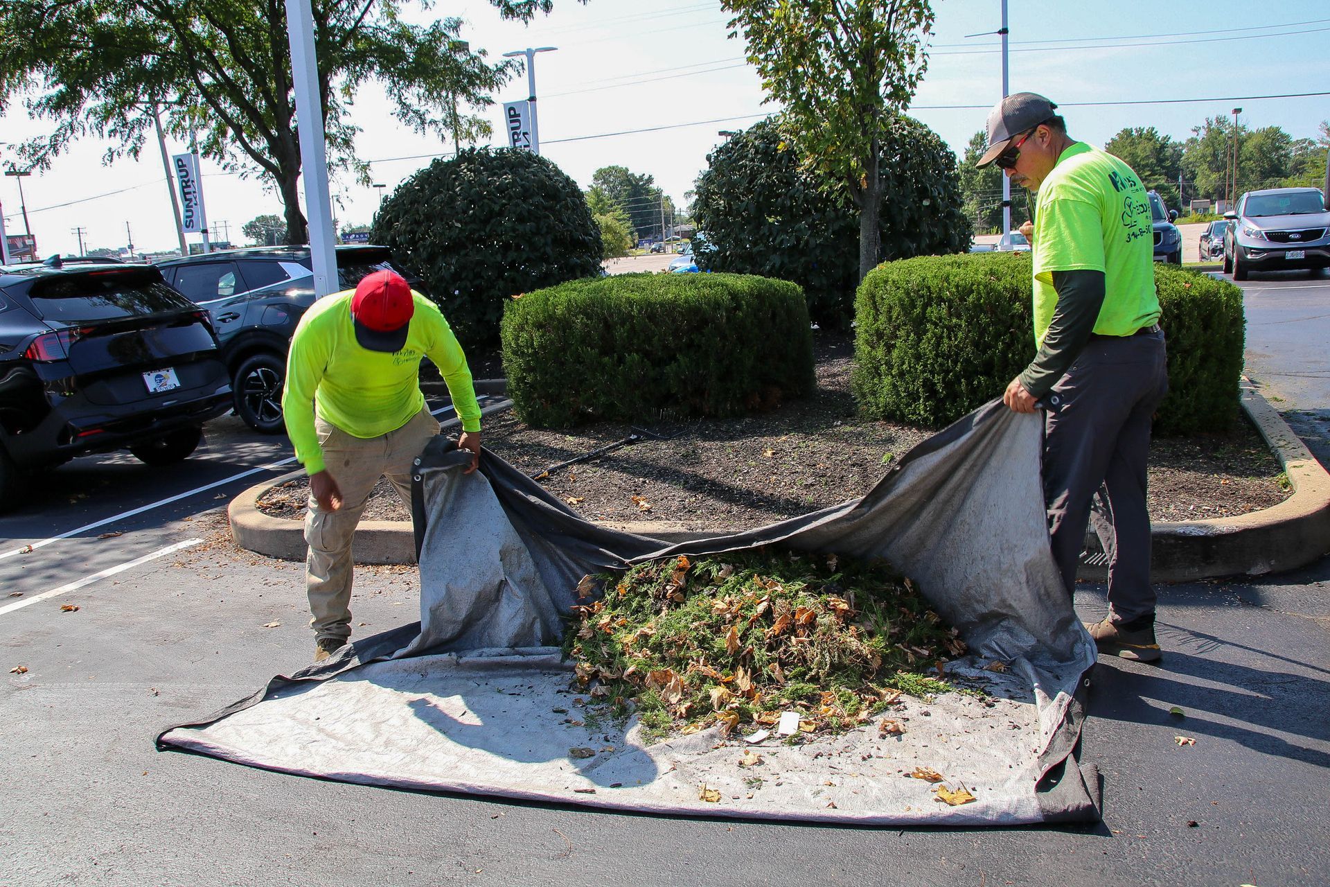 Two people in lime green shirts collect yard waste from a parking lot onto a tarp.